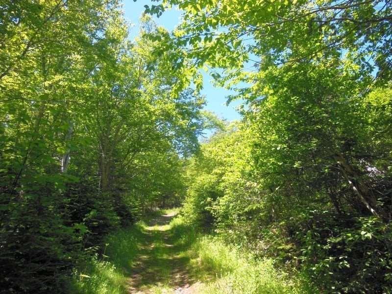 $299,000.00: #217 Highway, Tiddville