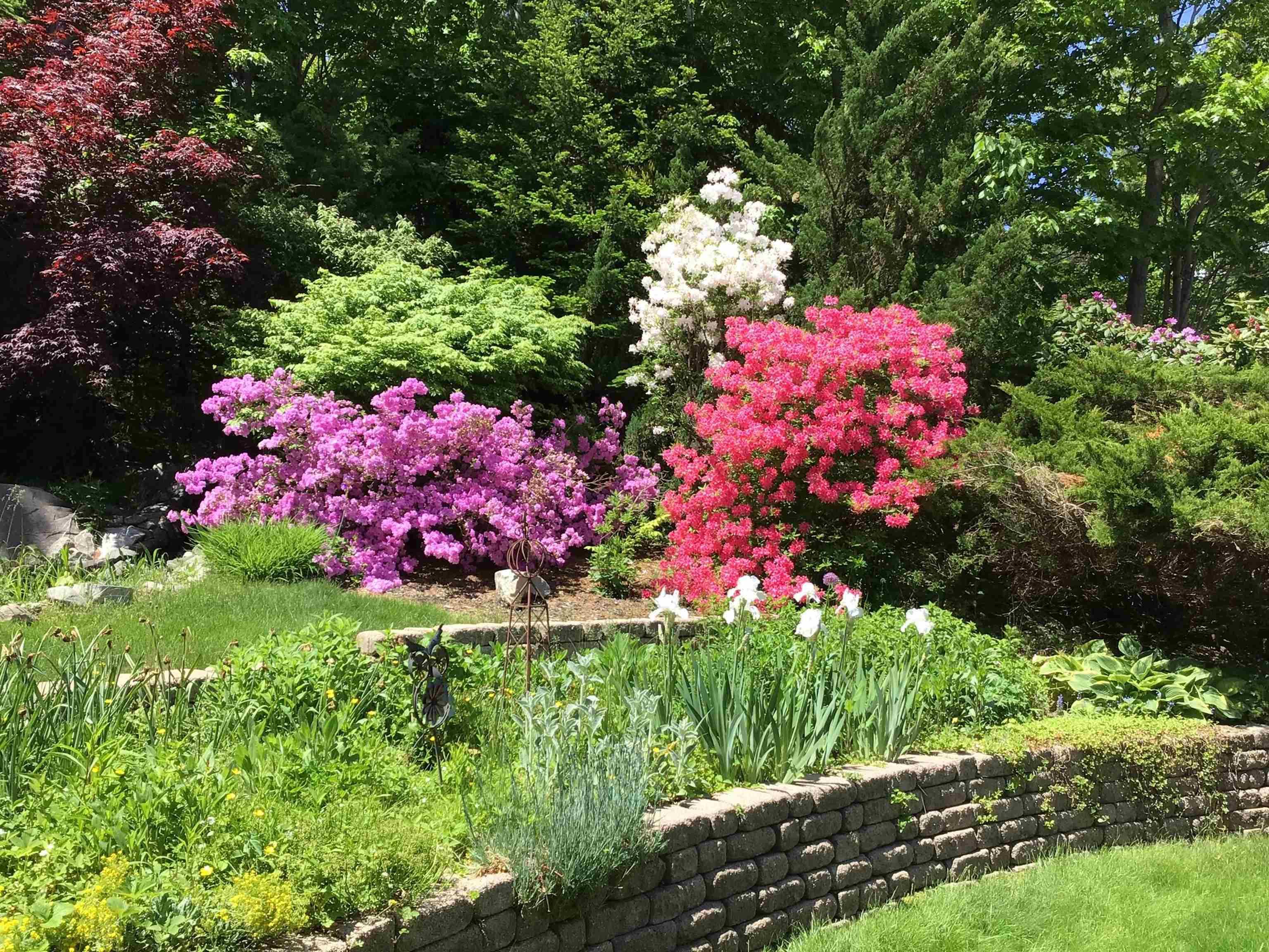 $929,000.00: 124 Lakeshore Park Terrace, Dartmouth