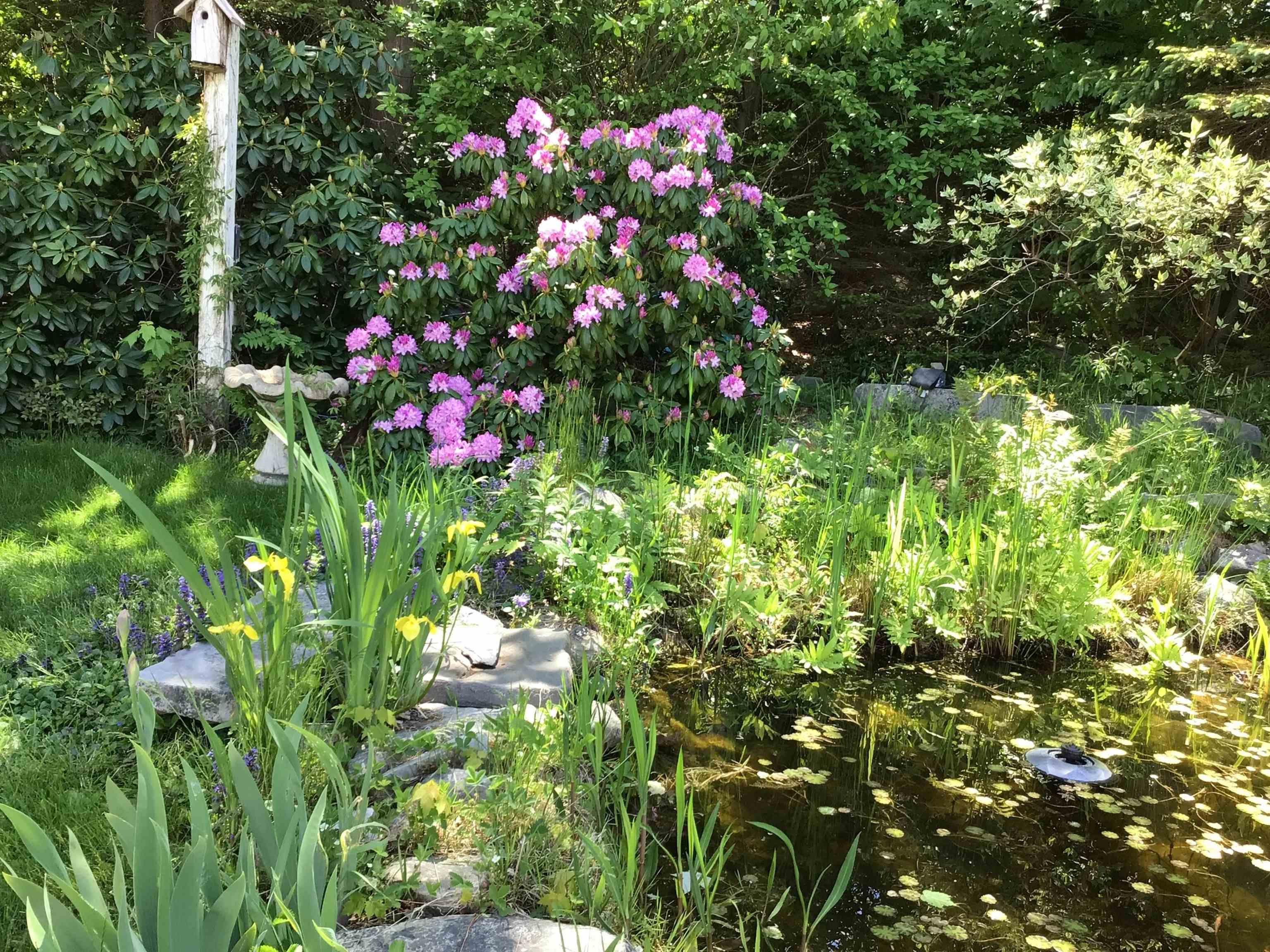 $929,000.00: 124 Lakeshore Park Terrace, Dartmouth