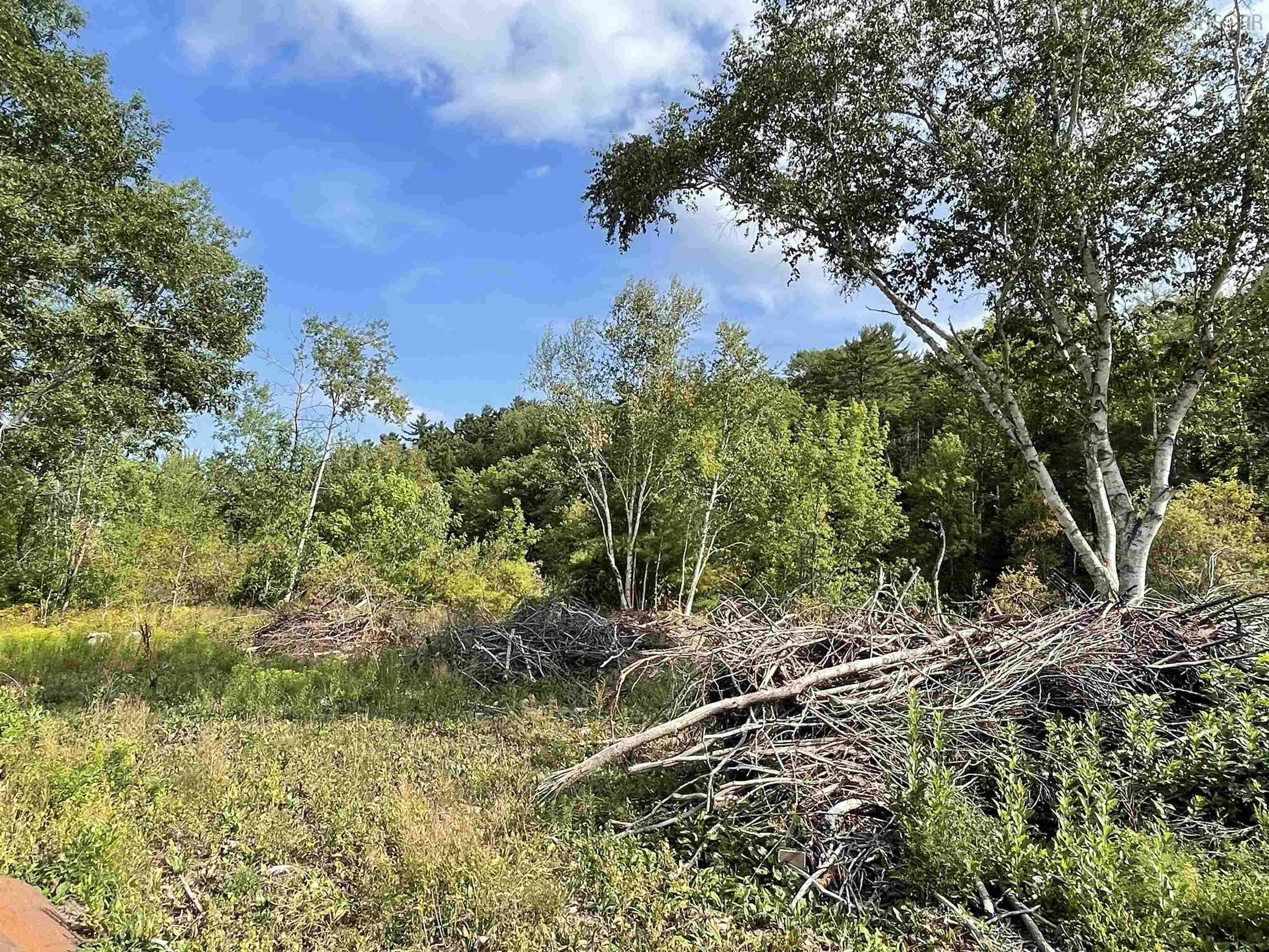 $299,000.00: 55 Zwicker Mill Road, New Germany