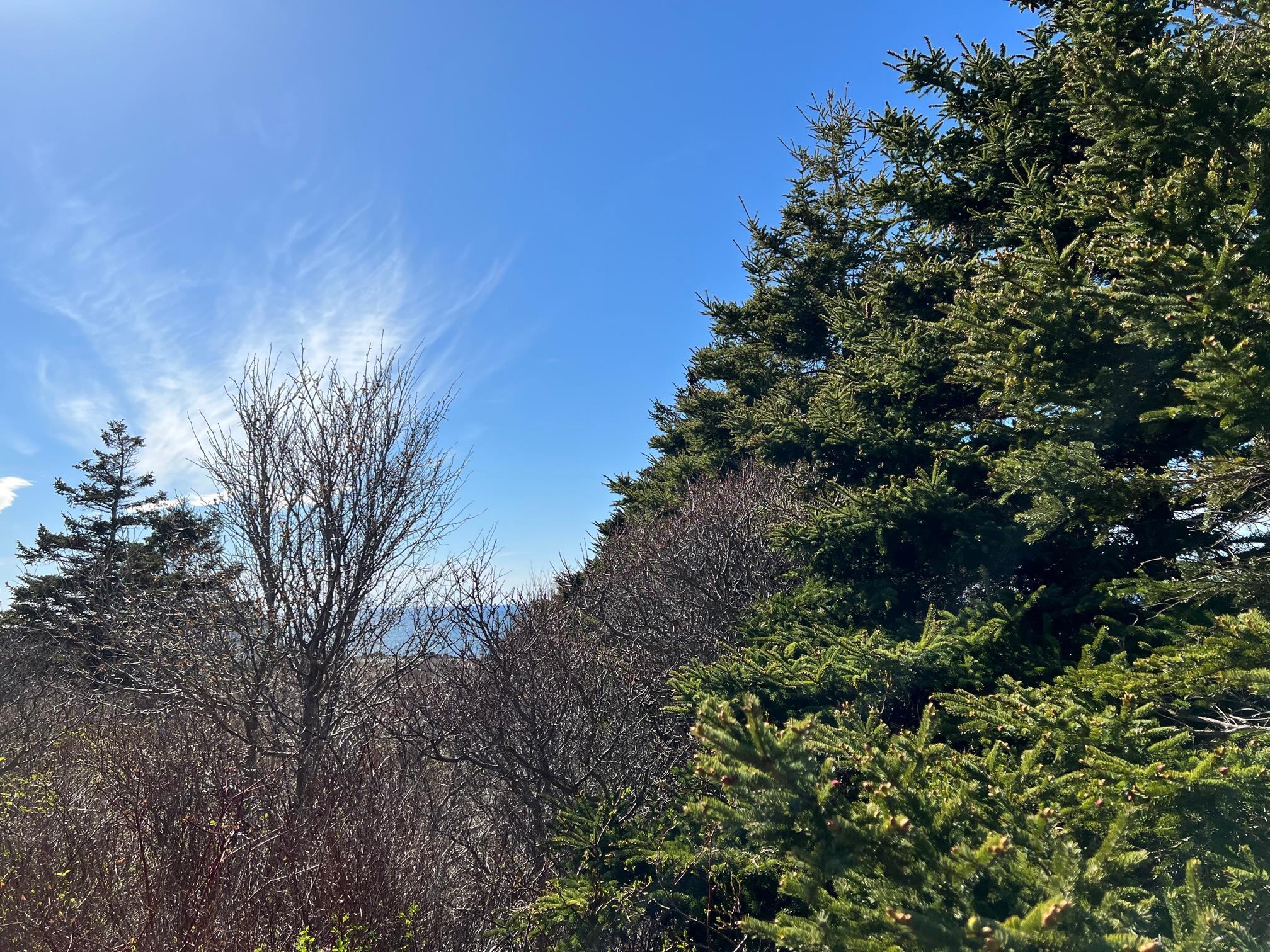 $124,900.00: 11838 Cabot Trail, Cap Le Moine