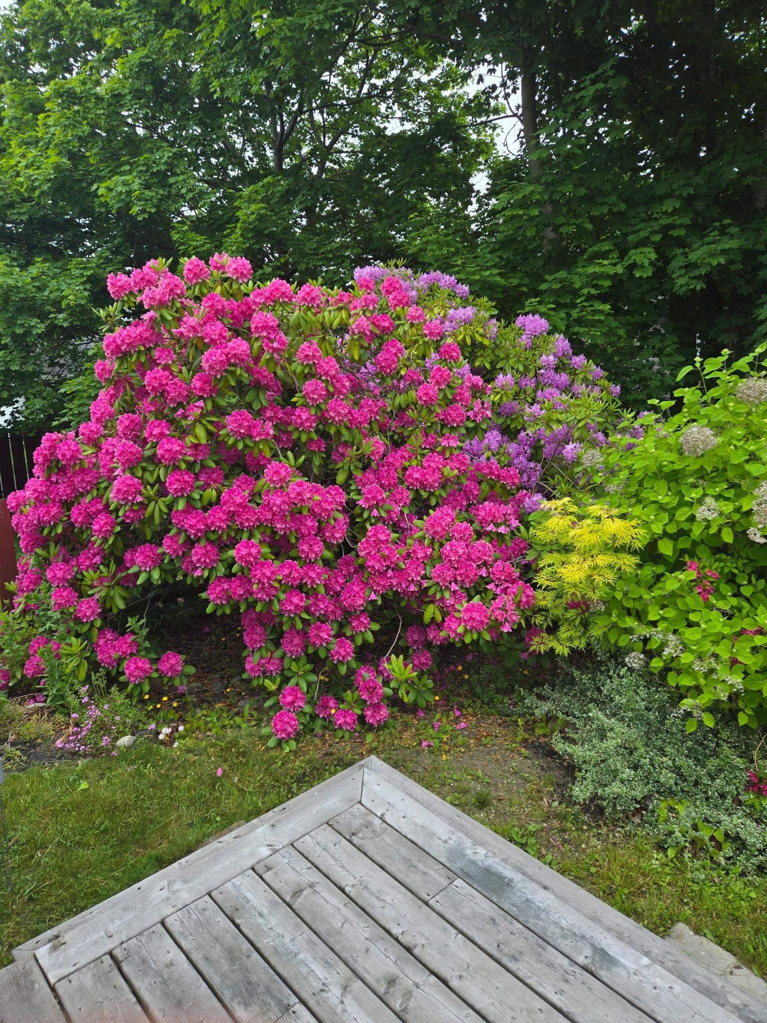 $649,900.00: 6105 Leeds Street, Halifax