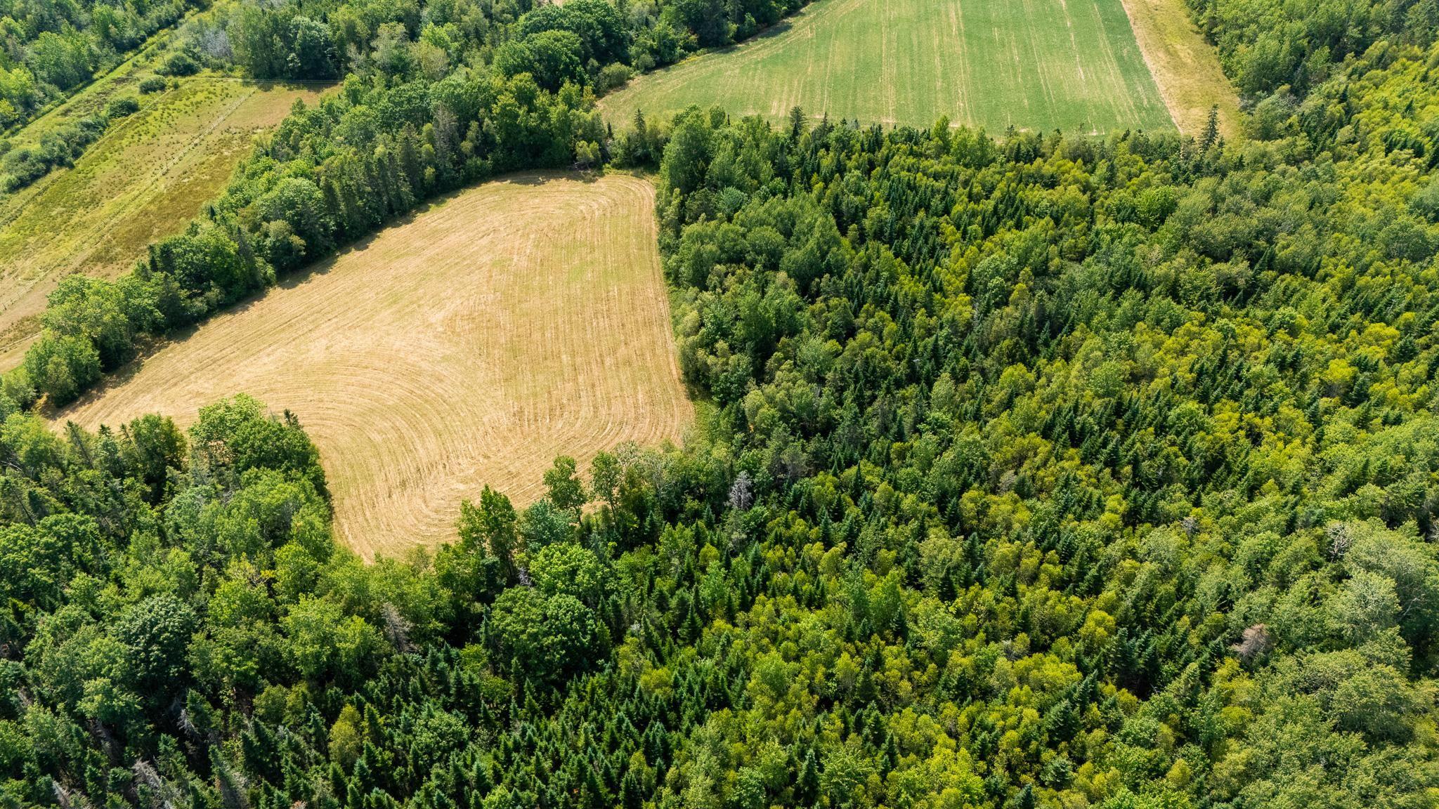 $350,000.00: Lots Bluff Road, Avonport Station