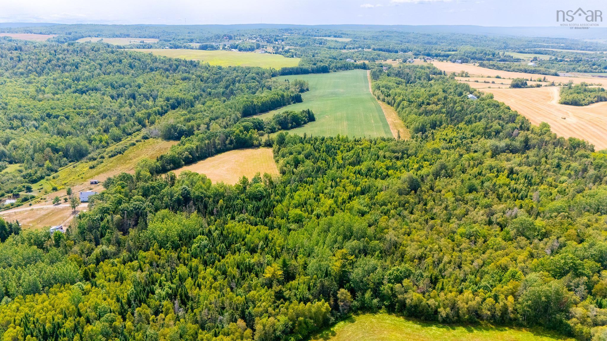 $350,000.00: Lots Bluff Road, Avonport Station