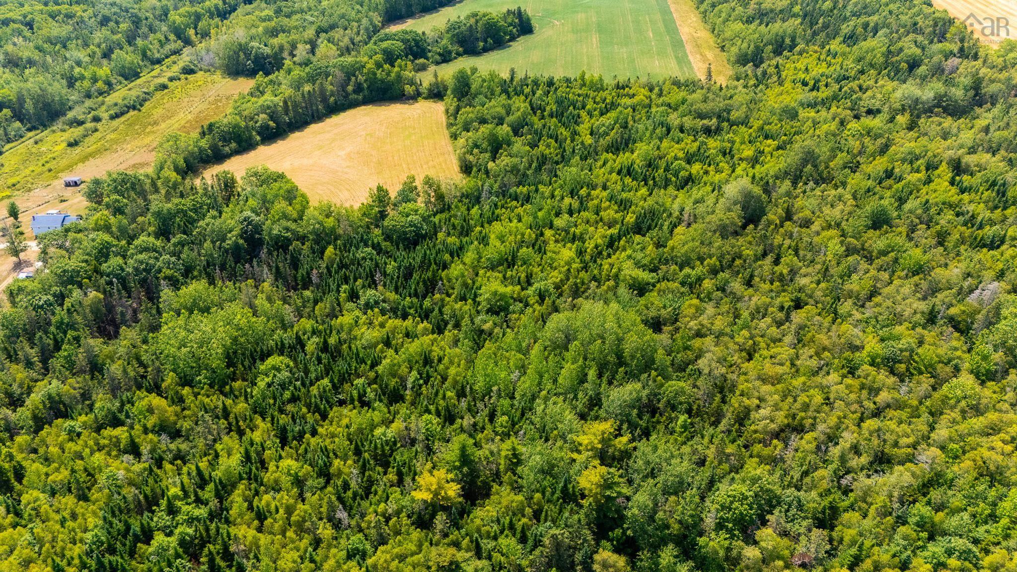 $350,000.00: Lots Bluff Road, Avonport Station