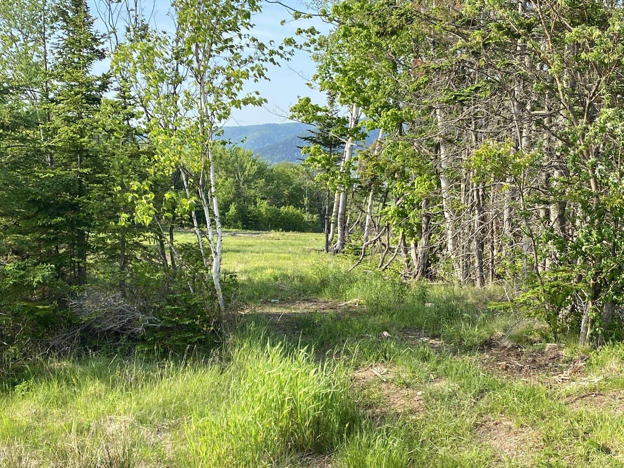 $175,900.00: Lot 23-3A Little Mabou Road, West Mabou