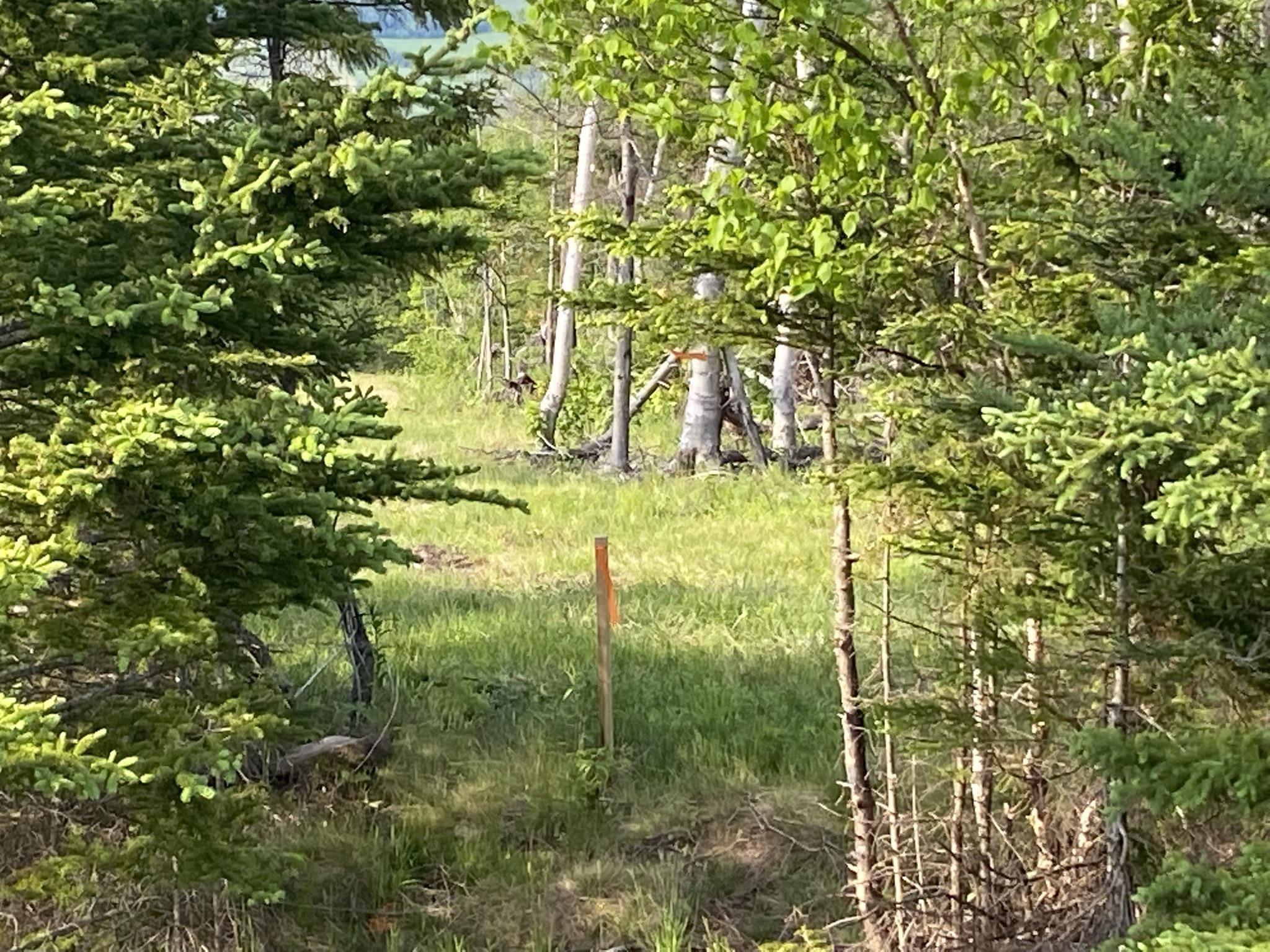 $175,900.00: Lot 23-3A Little Mabou Road, West Mabou