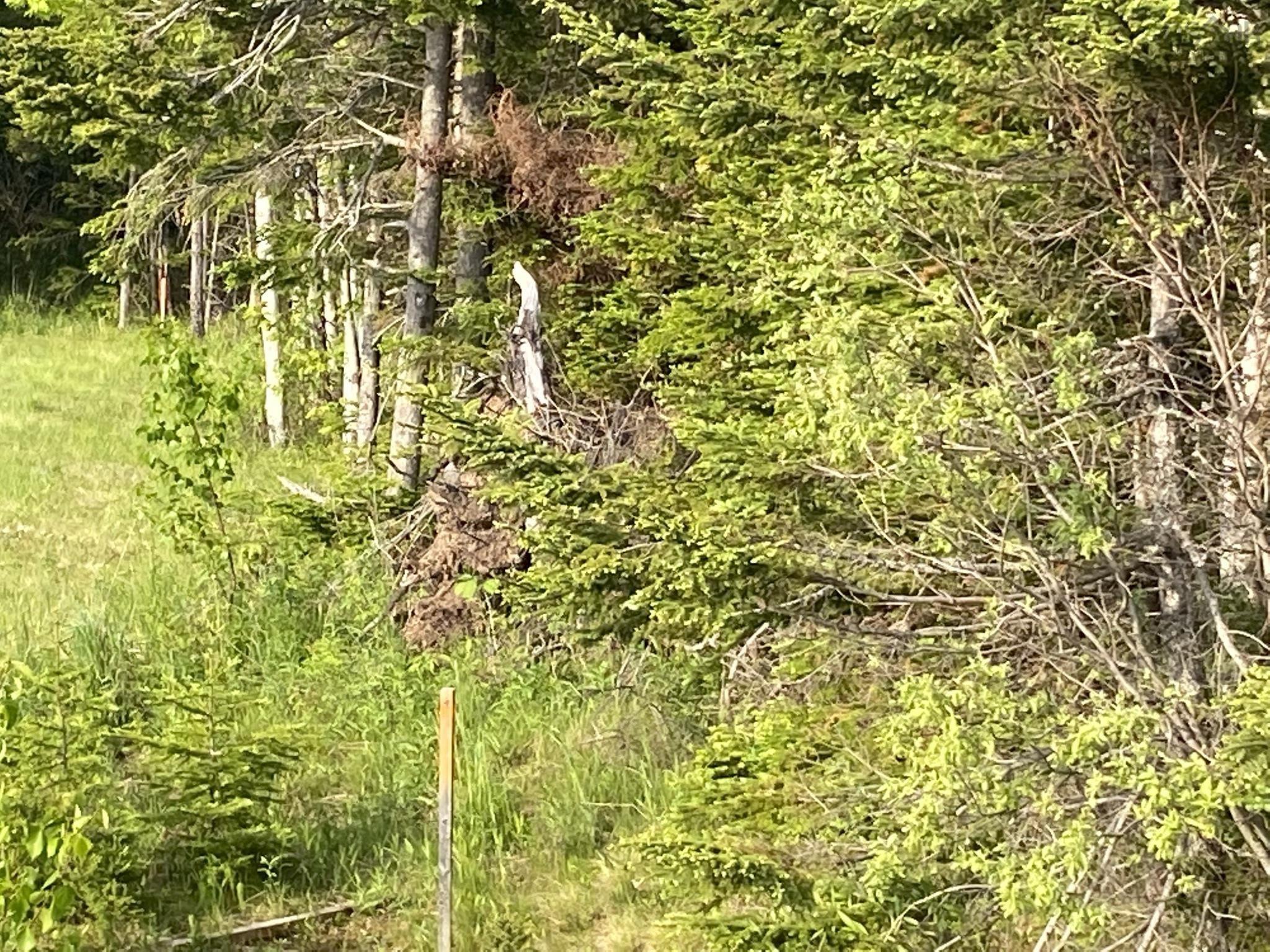 $175,900.00: Lot 23-3A Little Mabou Road, West Mabou