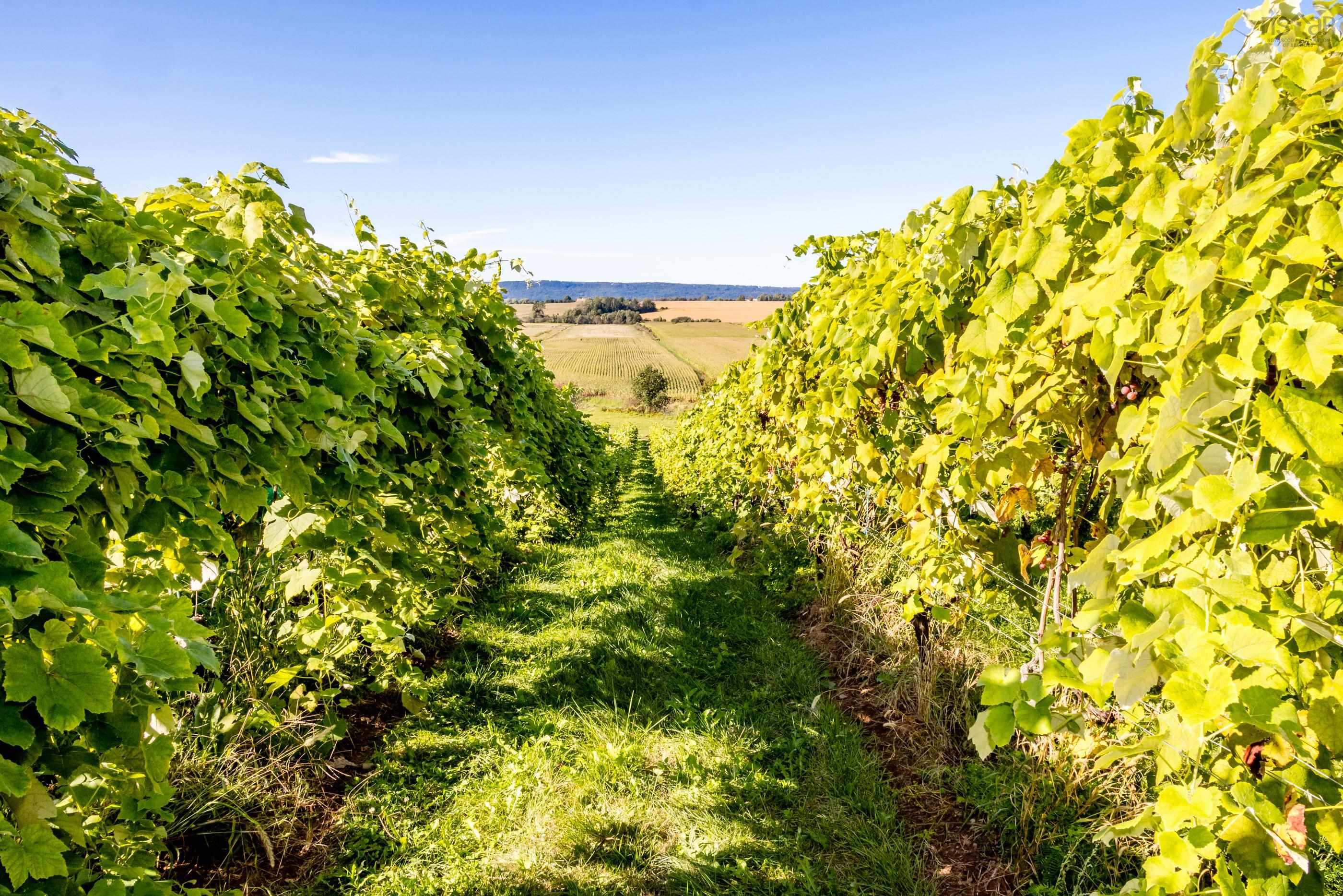 $4,000,000.00: 1441 Church Street, Port Williams