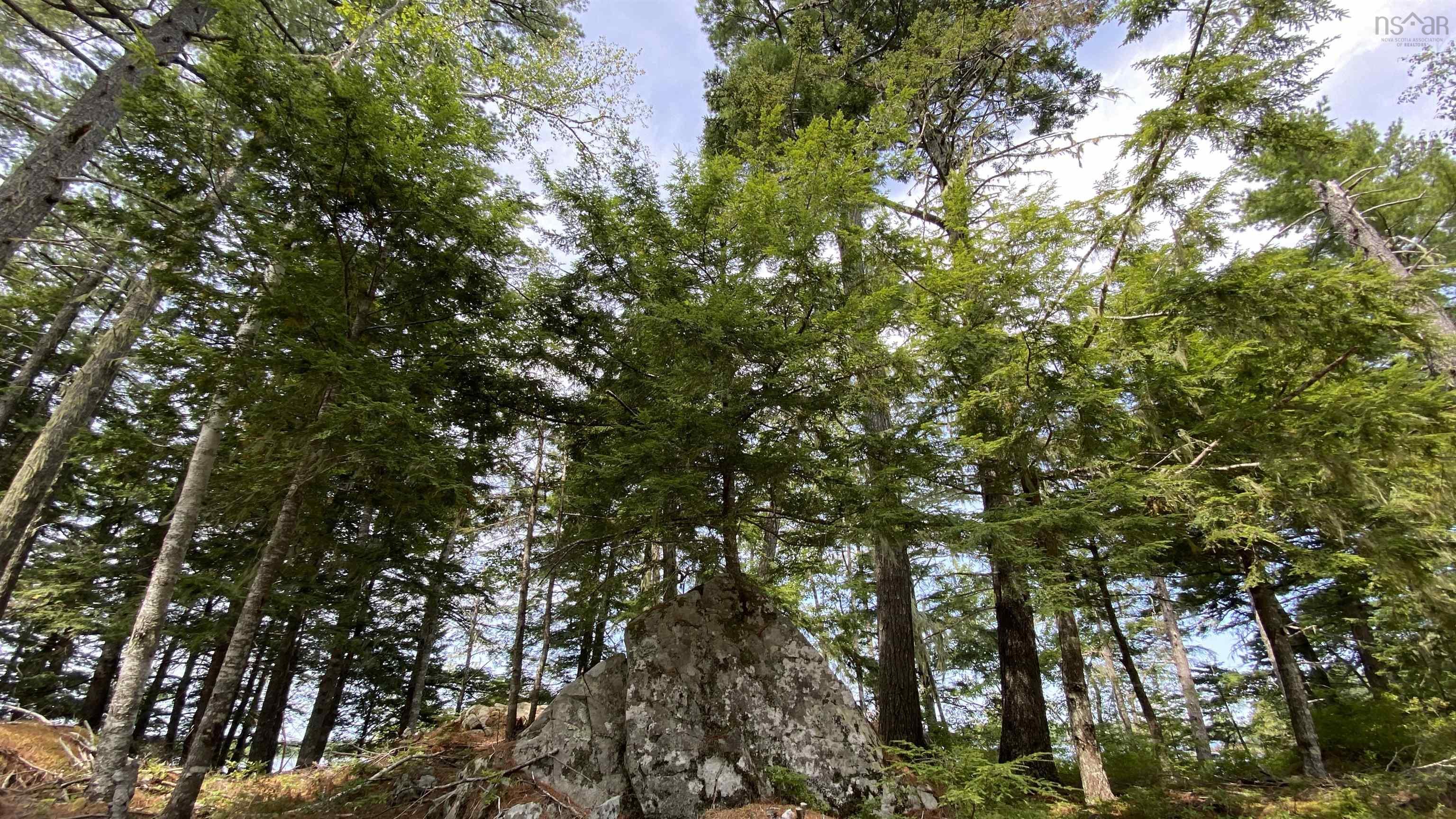 $749,000.00: Lot 1 Handley