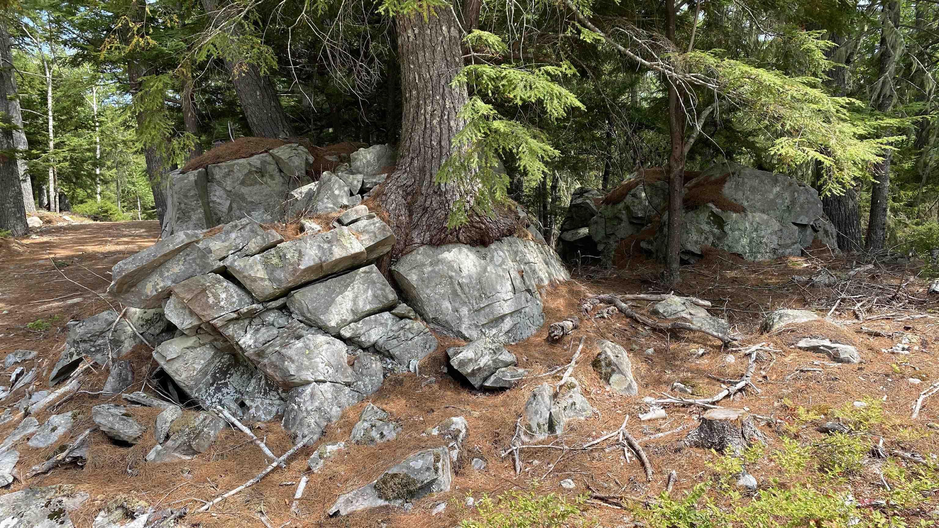 $749,000.00: Lot 1 Handley