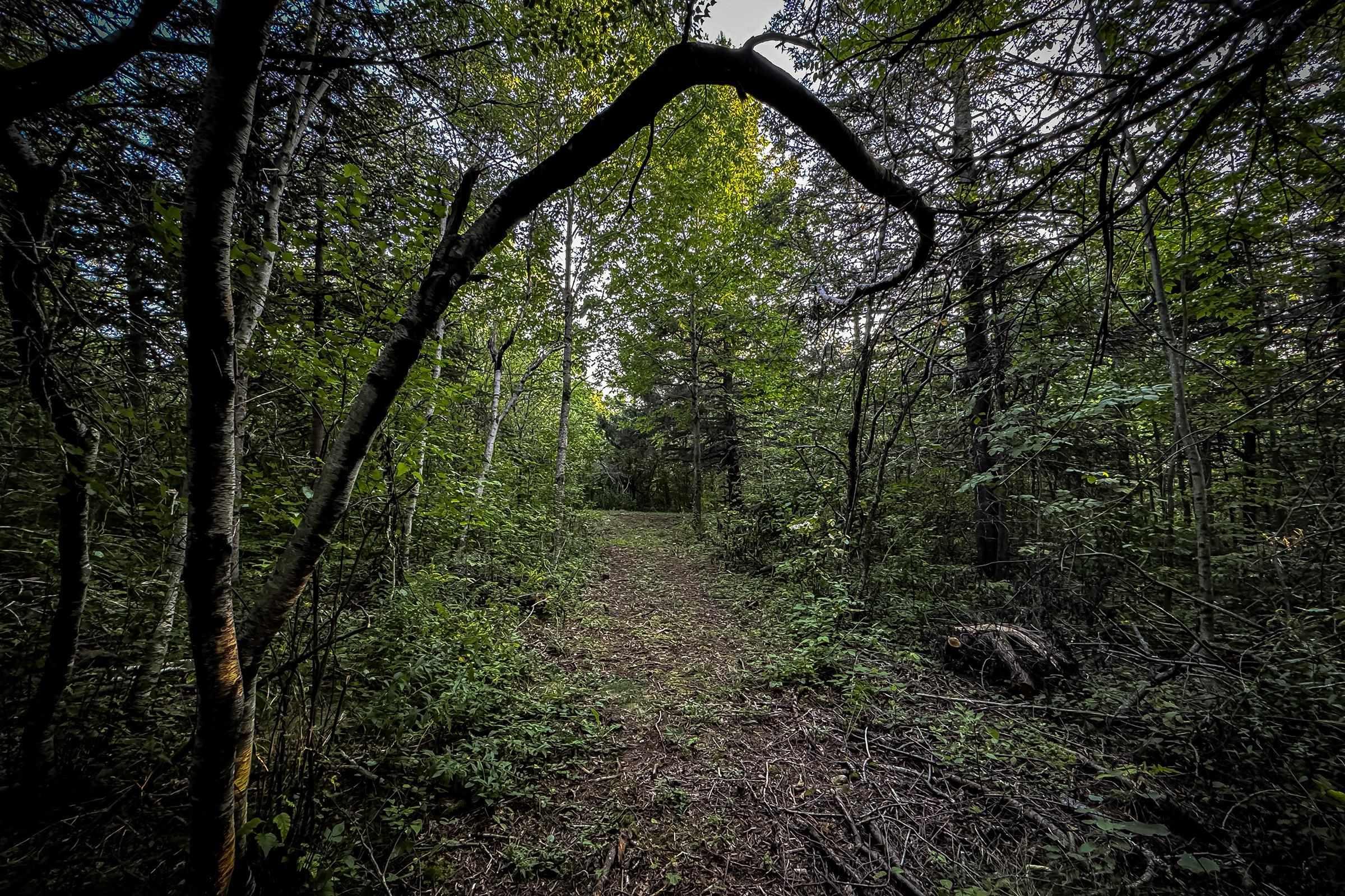 $54,000.00: Lot 4 Outram Road, Mount Hanley