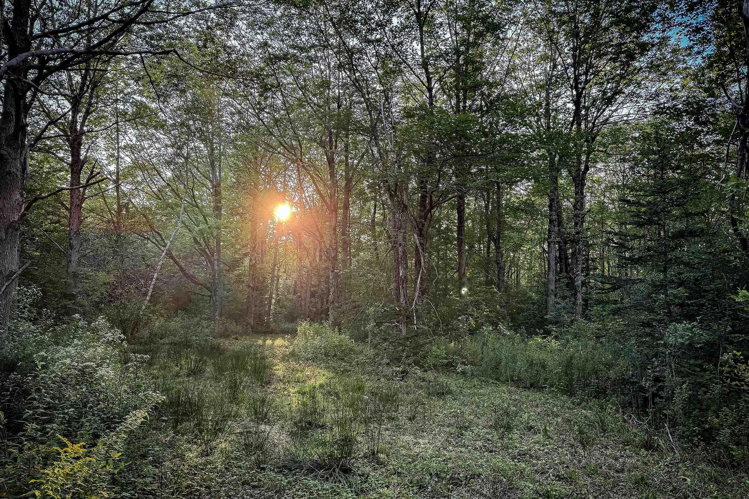 $54,000.00: Lot 4 Outram Road, Mount Hanley