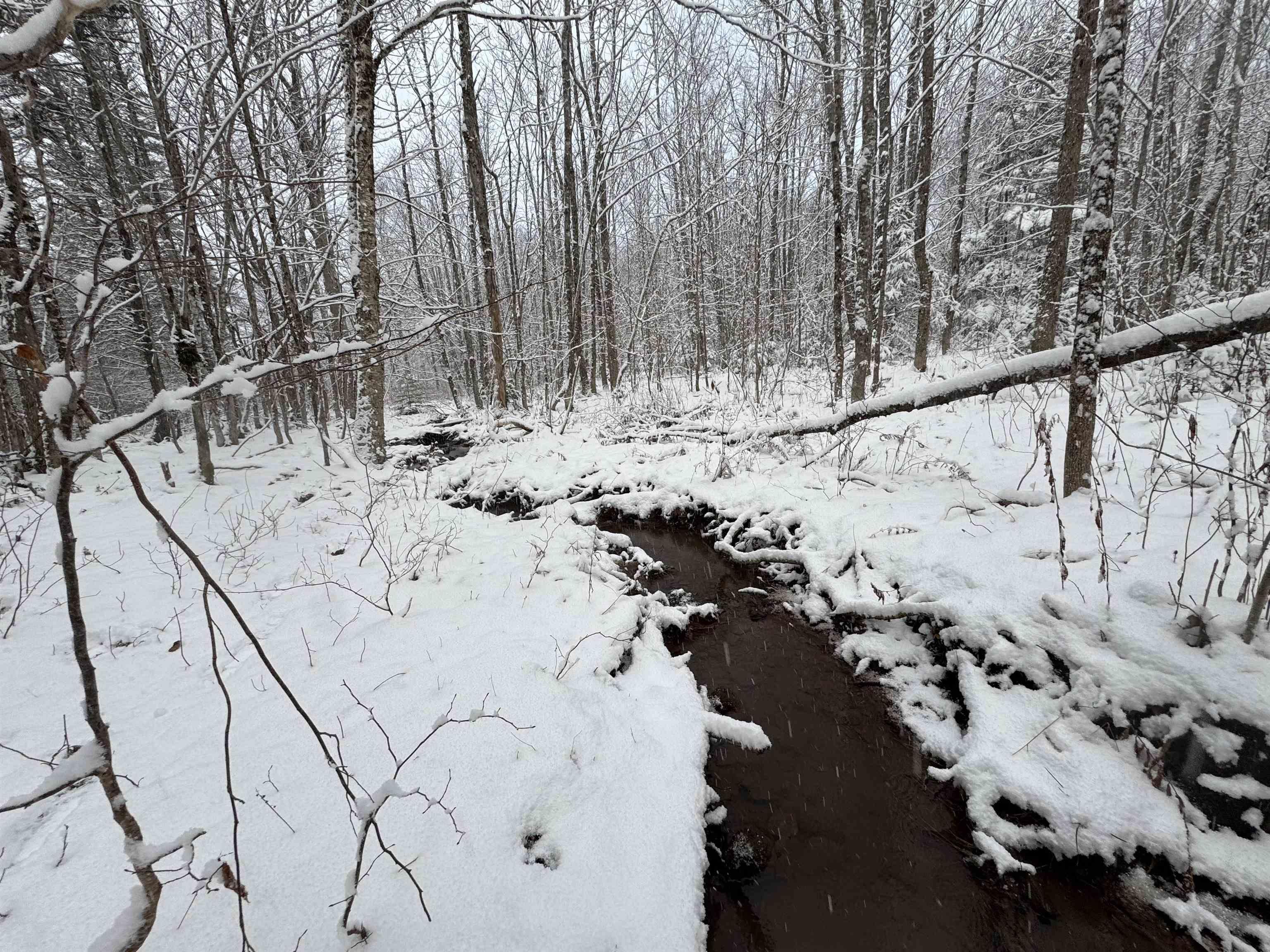 $54,000.00: Lot 4 Outram Road, Mount Hanley