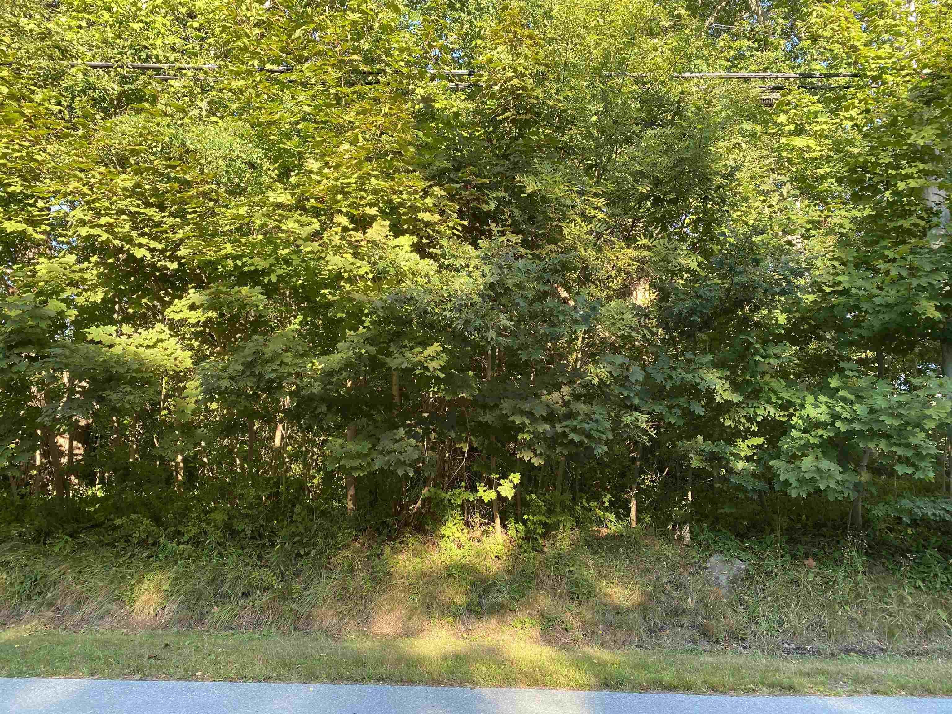 $59,000.00: Lot PID#70088364 Hillside Road, Brooklyn
