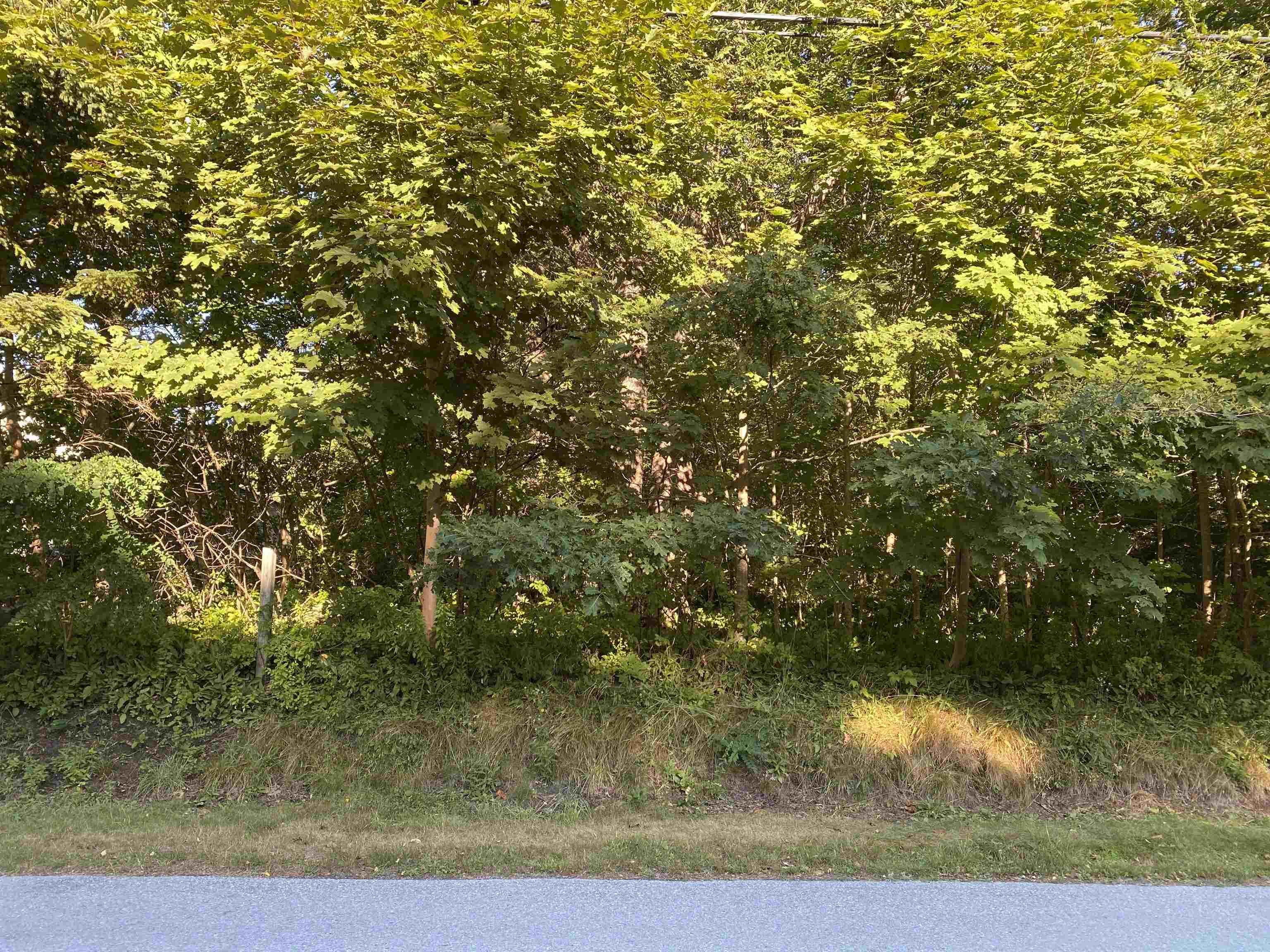 $59,000.00: Lot PID#70088364 Hillside Road, Brooklyn