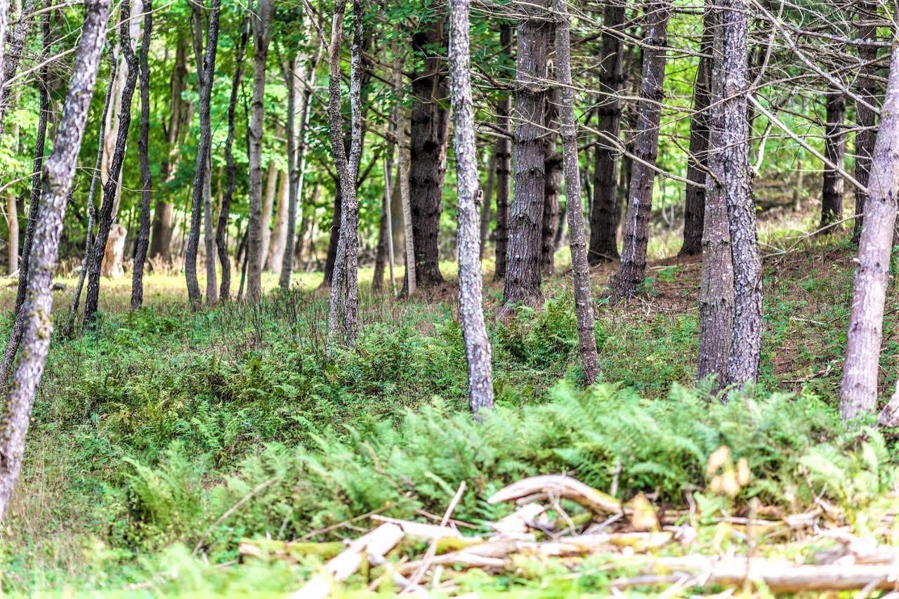 $499,000.00: Lot 21-1 & -2 Wye Street, Mahone Bay