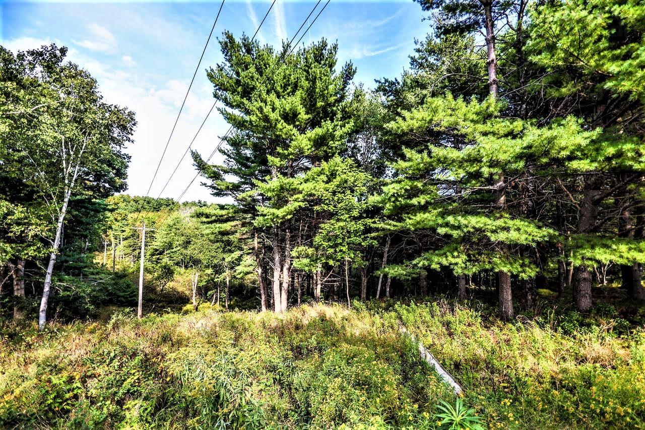 $499,000.00: Lot 21-1 & -2 Wye Street, Mahone Bay