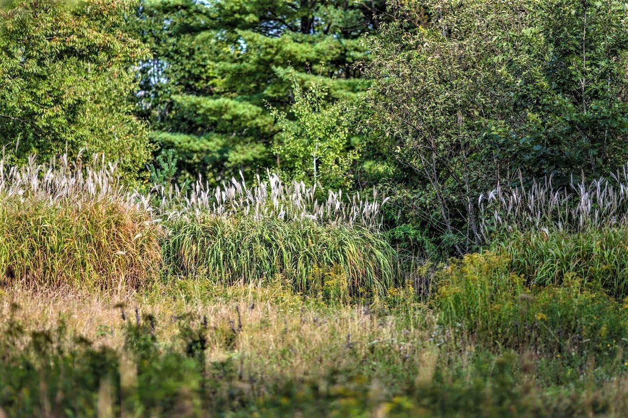 $499,000.00: Lot 21-1 & -2 Wye Street, Mahone Bay