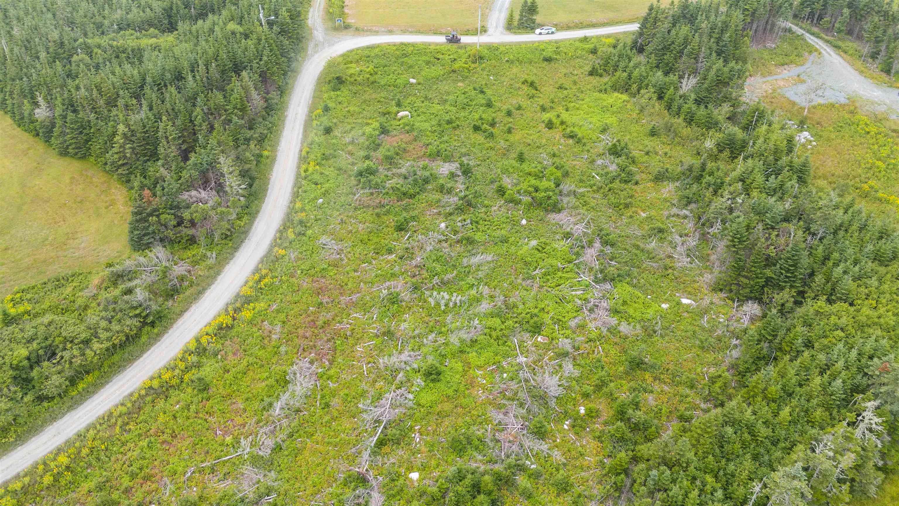 233 Okooda Path, Clam Bay, NS (MLS 202520755)