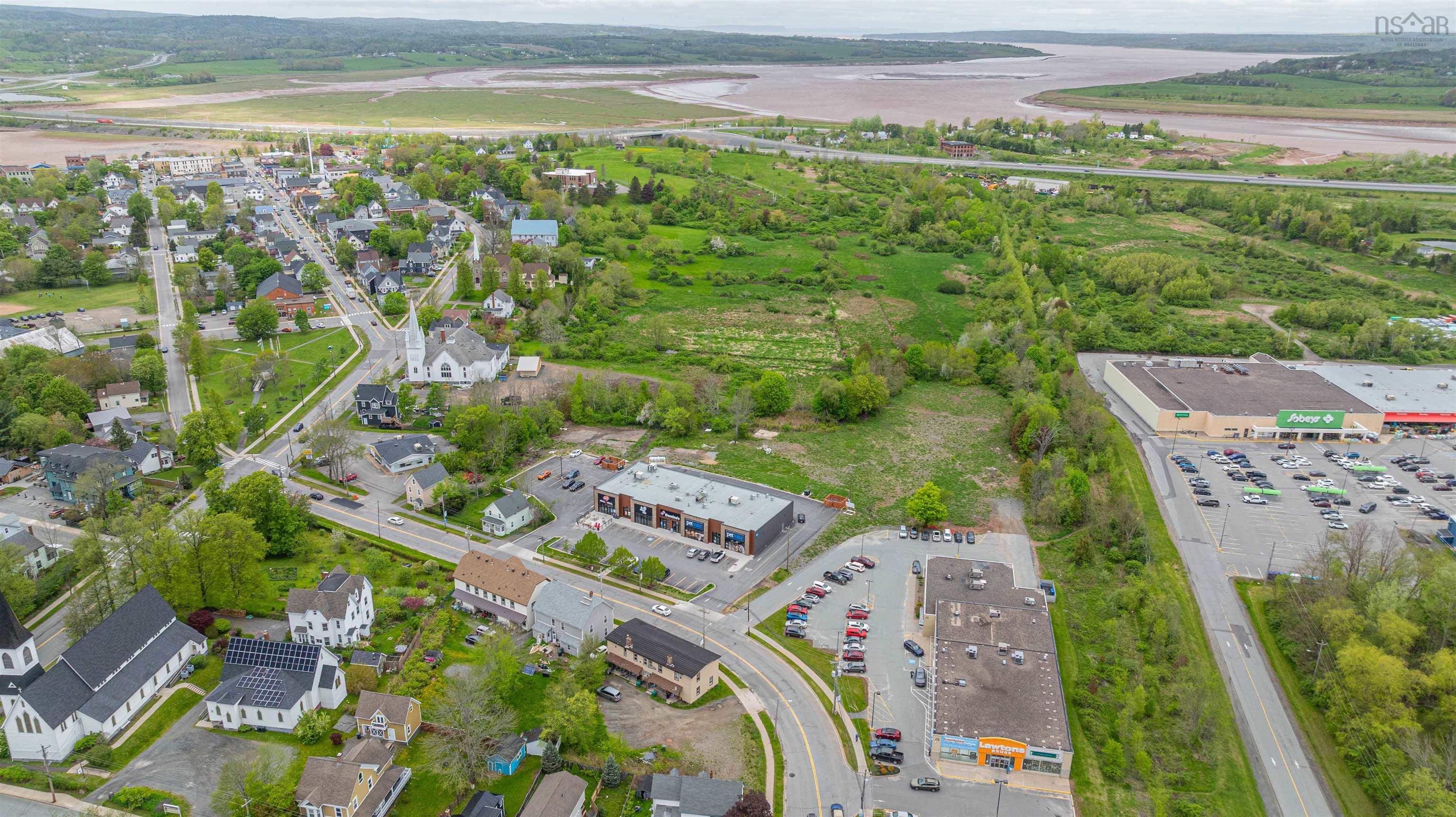 $3,999,000.00: 543 OBrien Street, Windsor