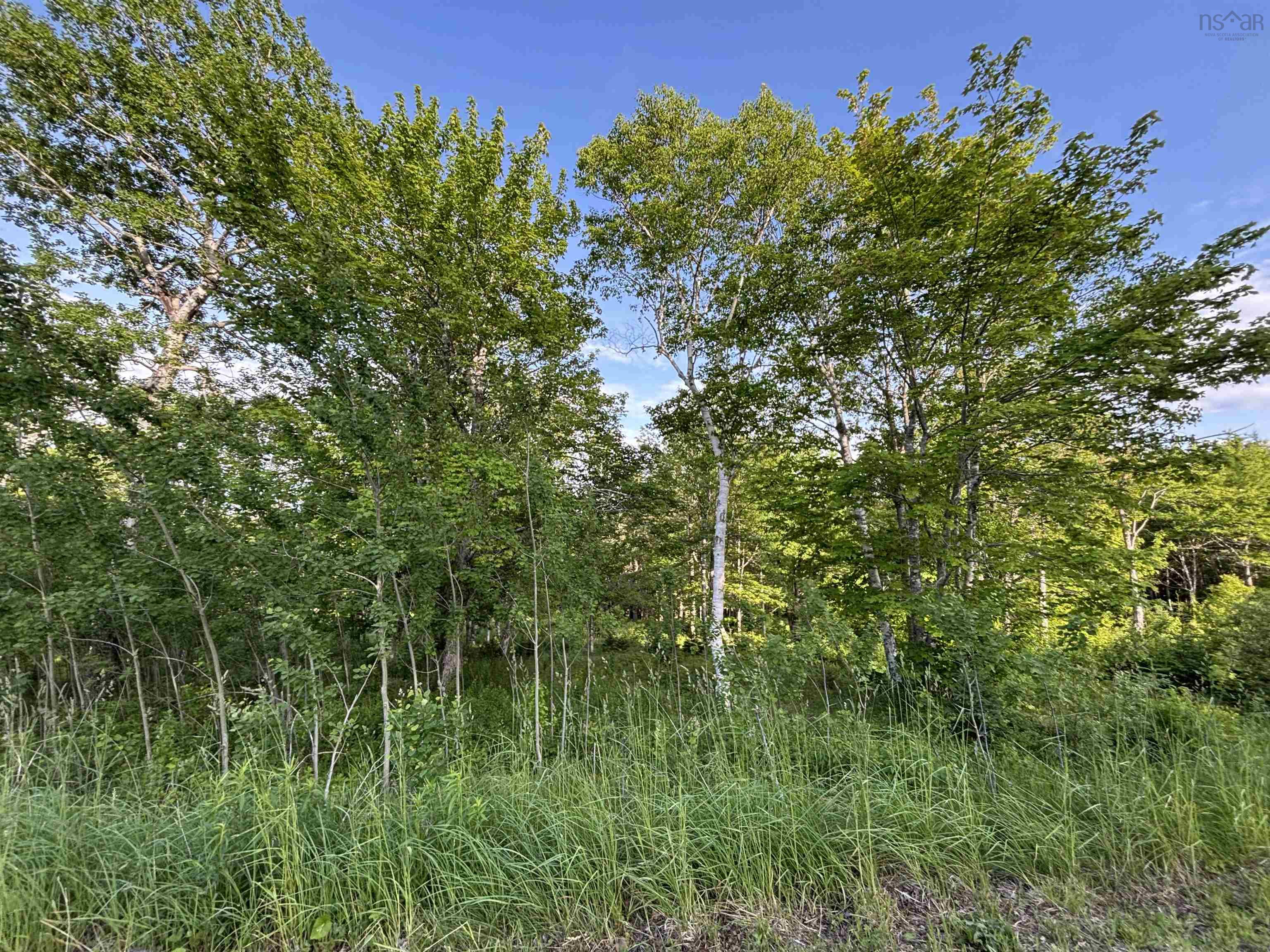 $24,900.00: 29 Parkland Place, Dalem Lake