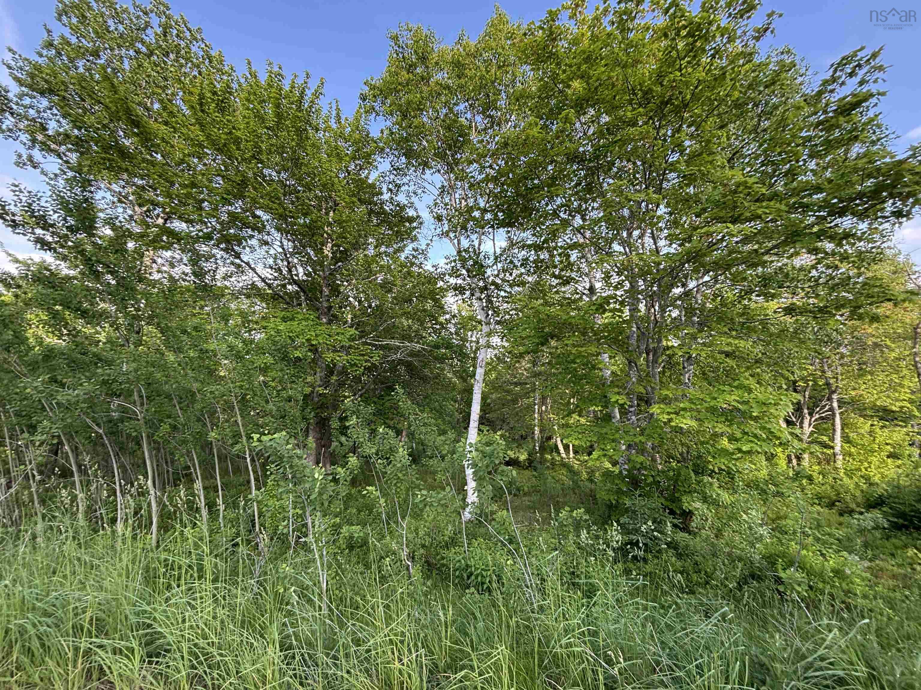 $24,900.00: 29 Parkland Place, Dalem Lake