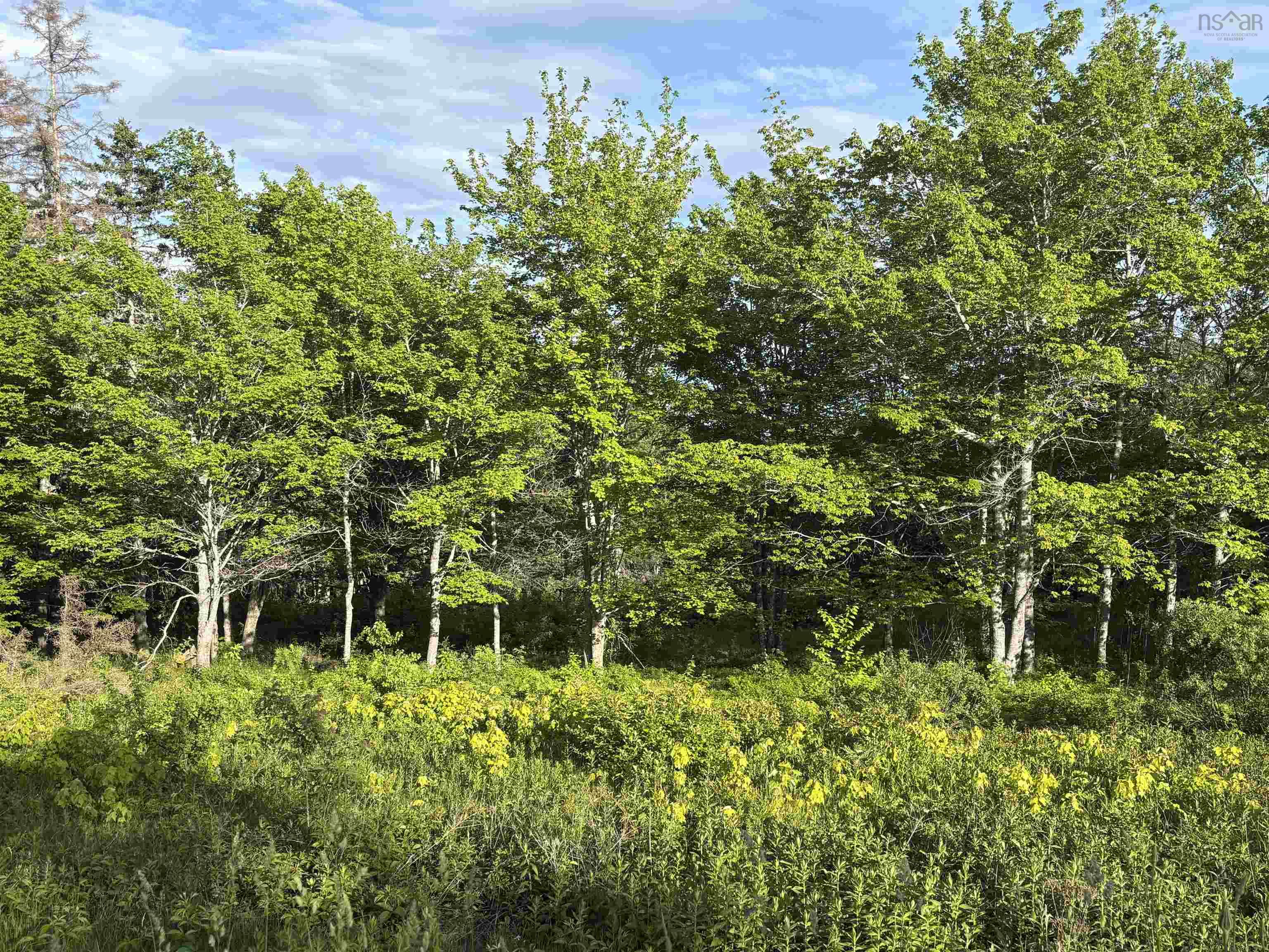 $24,900.00: 31 Parkland Place, Dalem Lake