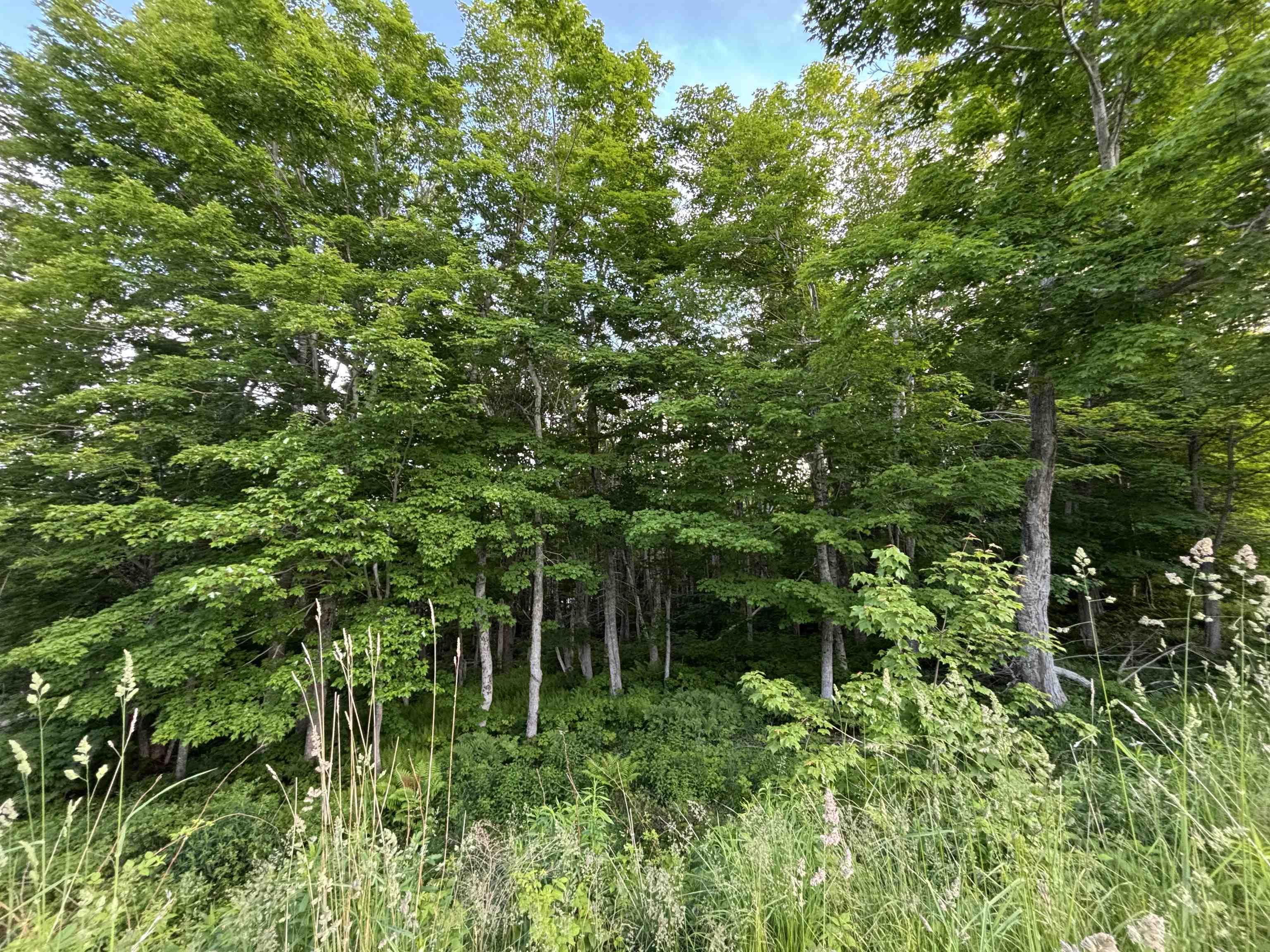 $24,900.00: 24 Parkland Place, Dalem Lake