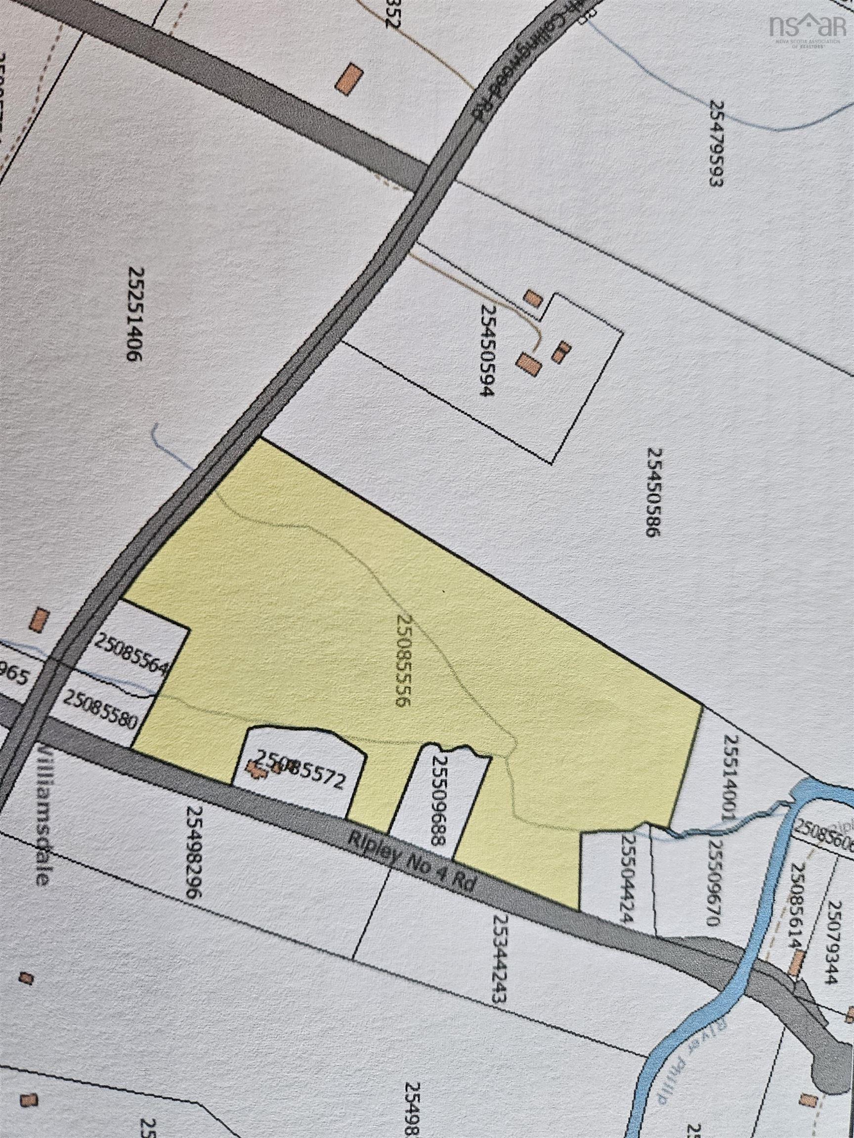 Ripley #4 Road, Williamsdale, NS (MLS 202520893)