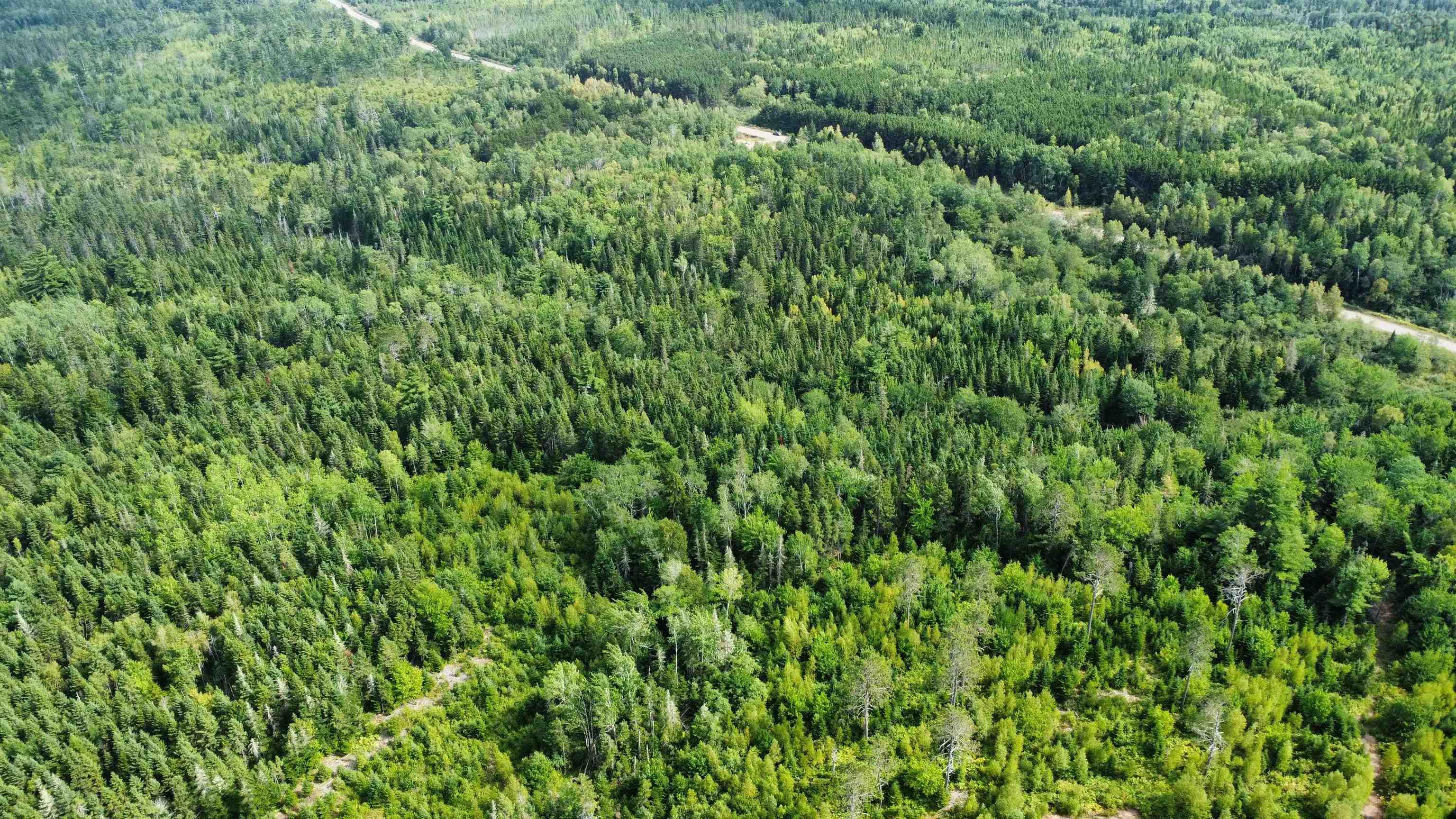 $59,900.00: Athol Road, Springhill