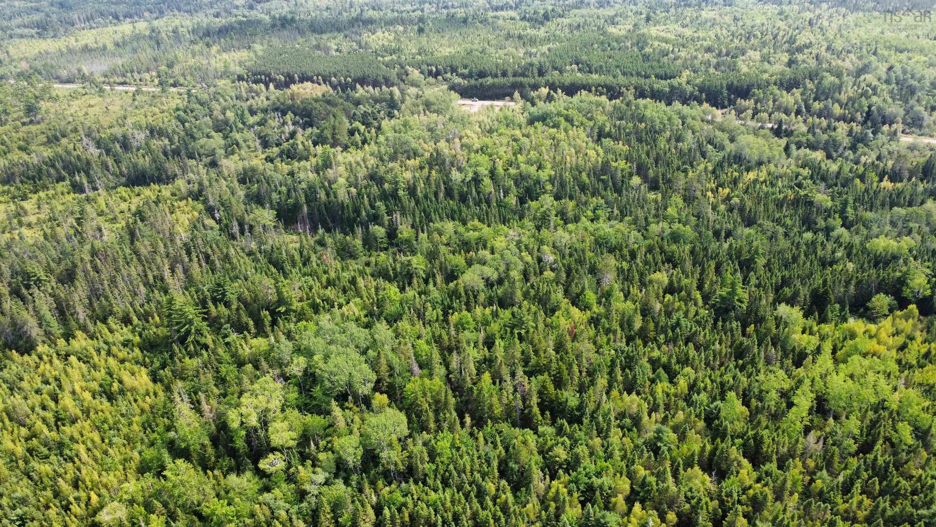 $59,900.00: Athol Road, Springhill