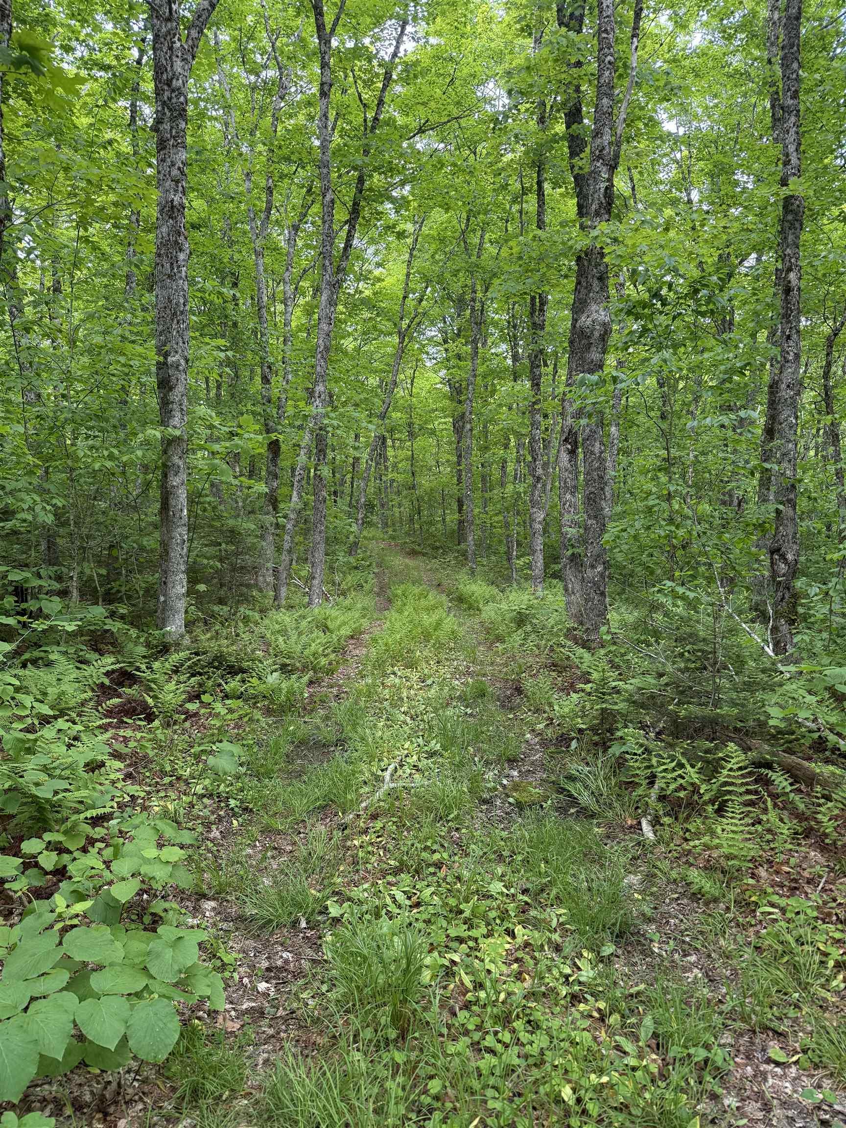 Lot Pid#20098885 Truro Road, New Annan, NS (MLS 202521121)