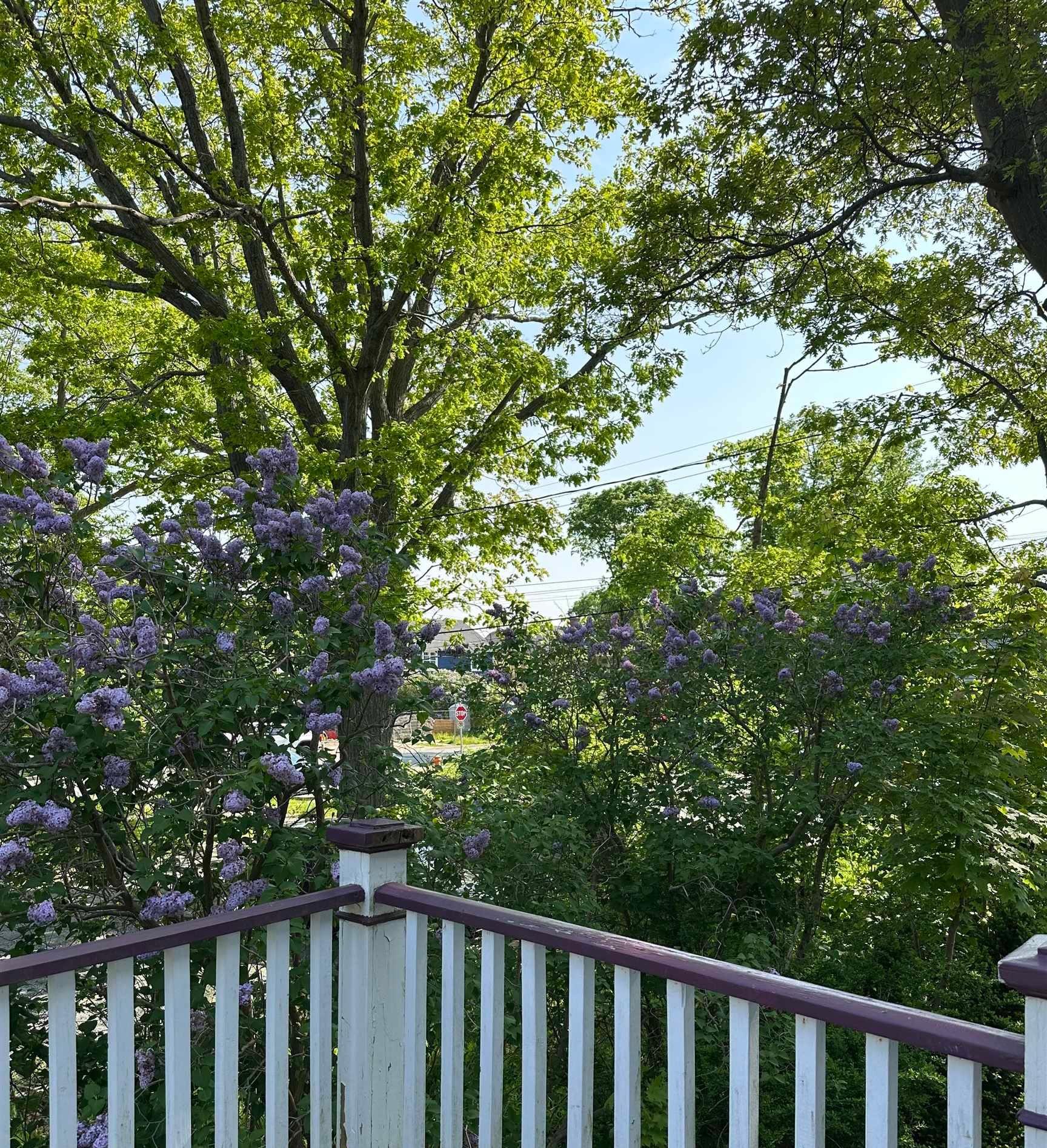 1123/1121 Cartaret Street, Halifax, NS (MLS 202521329)