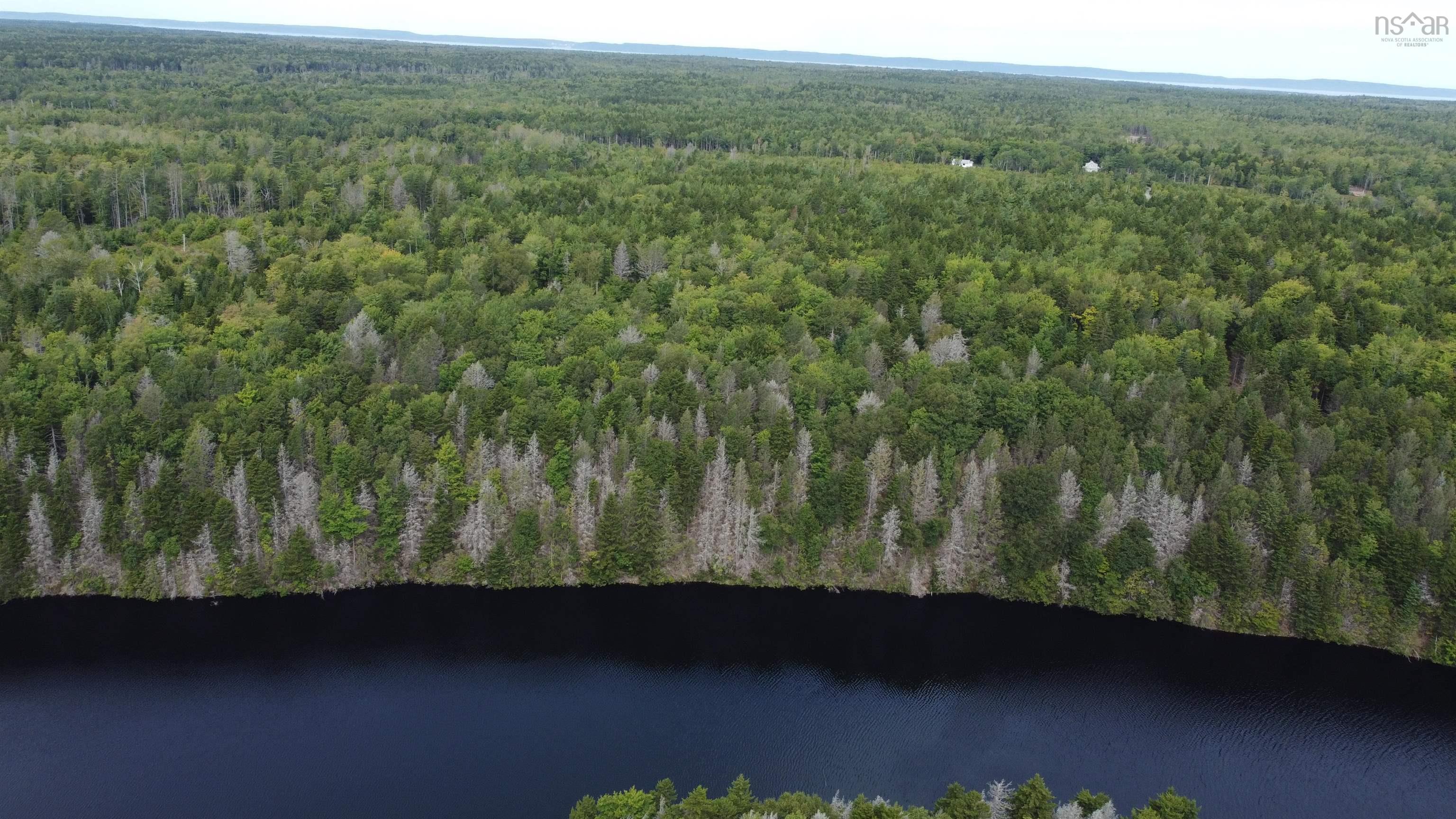 Lot Sissiboo Road, Weymouth Mills, NS (MLS® 202521352)