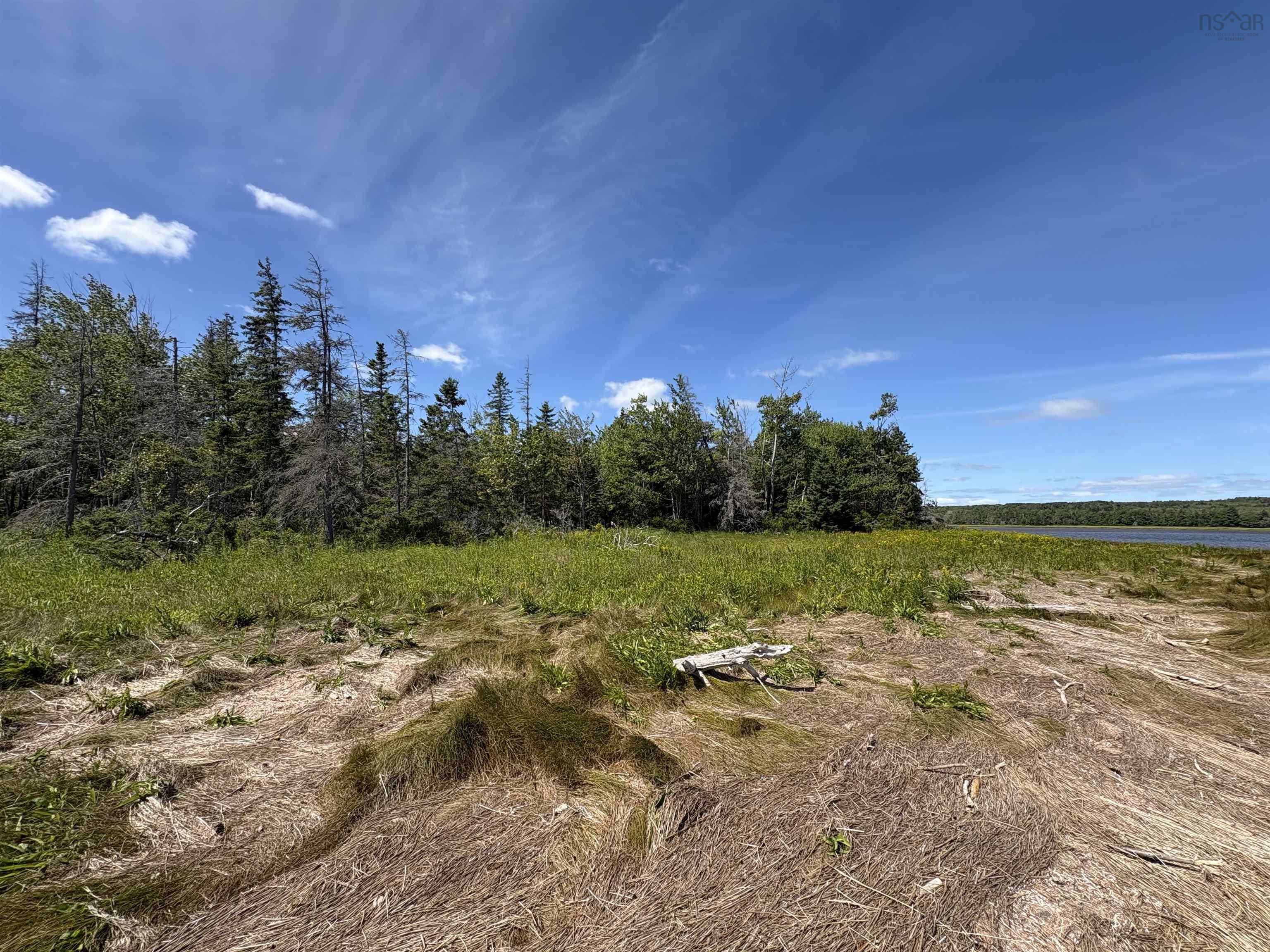 Lot 07-4 Thompson Road, Pugwash River, NS (MLS 202521426)