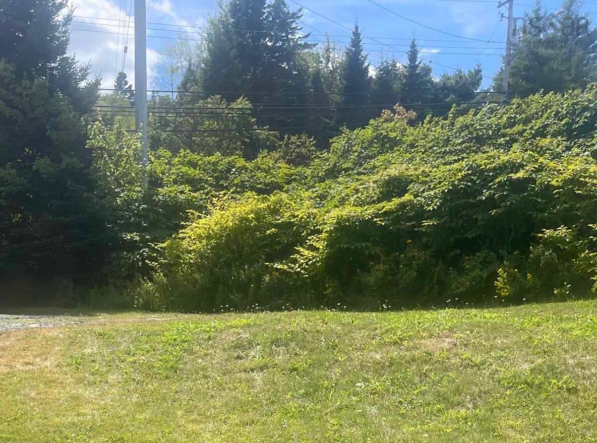 1203 St Margaret's Bay Road, Timberlea, NS (MLS 202521470)