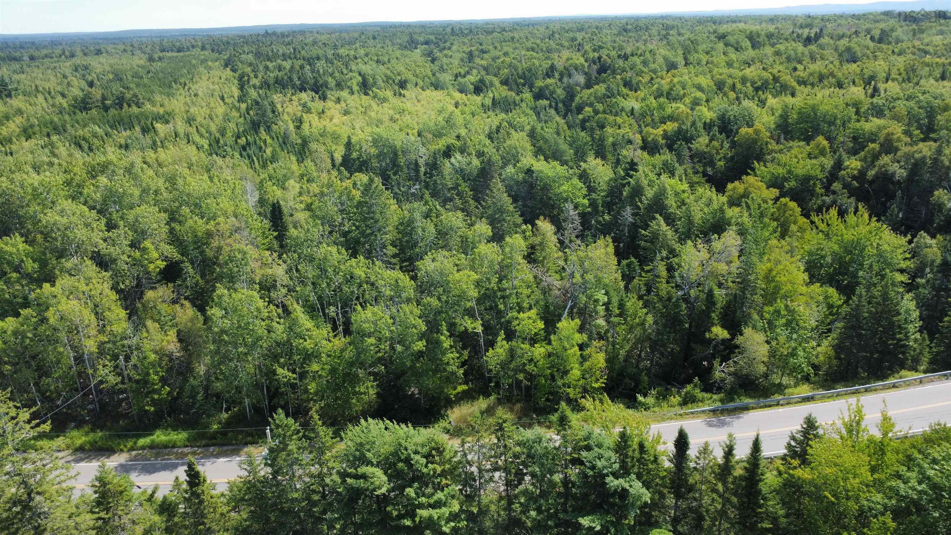 Lot 25-1 Highway #368, Wentworth, NS (MLS 202521733)