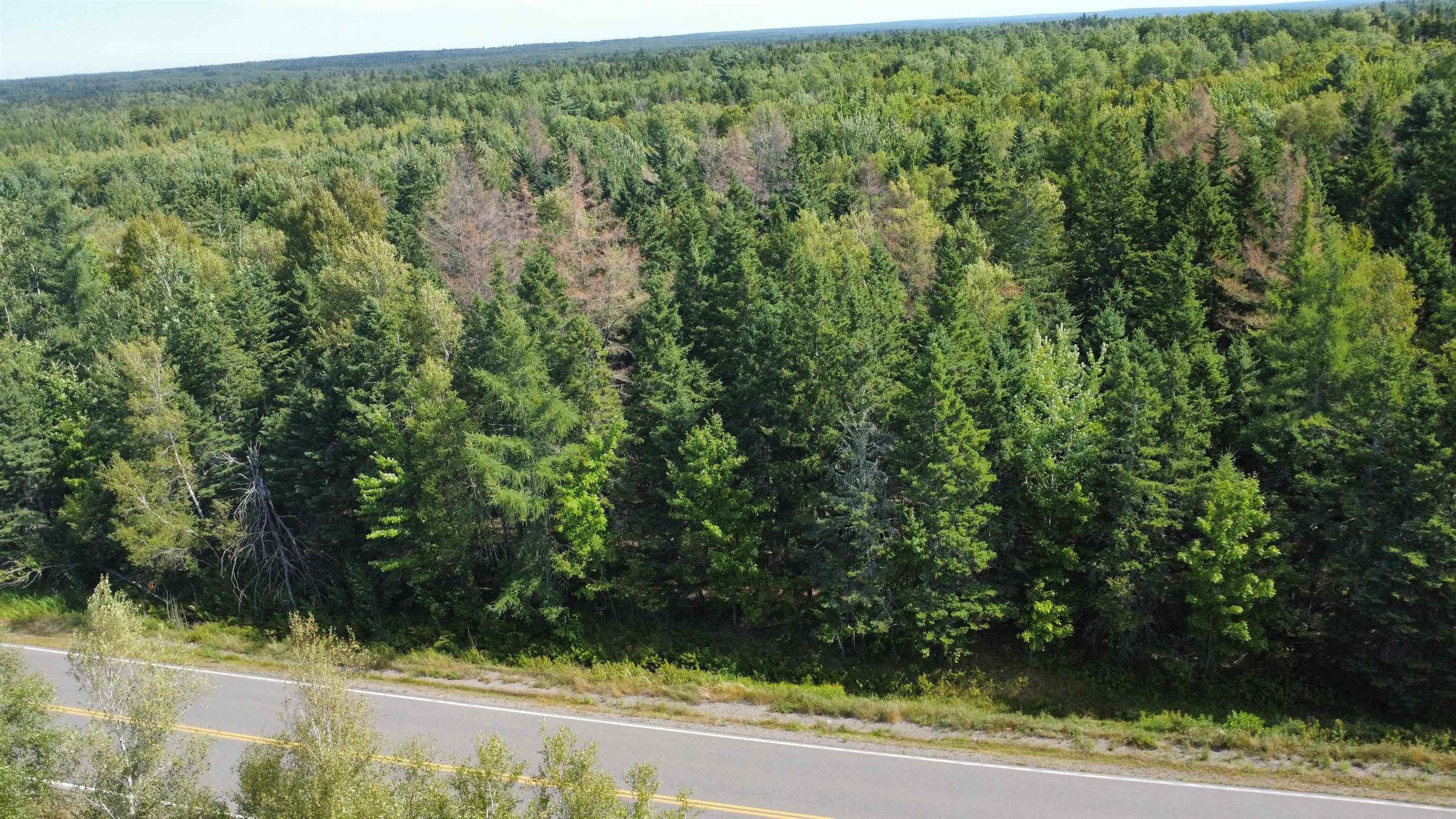 Lot 25-4 Highway #368, Wentworth, NS (MLS 202521737)
