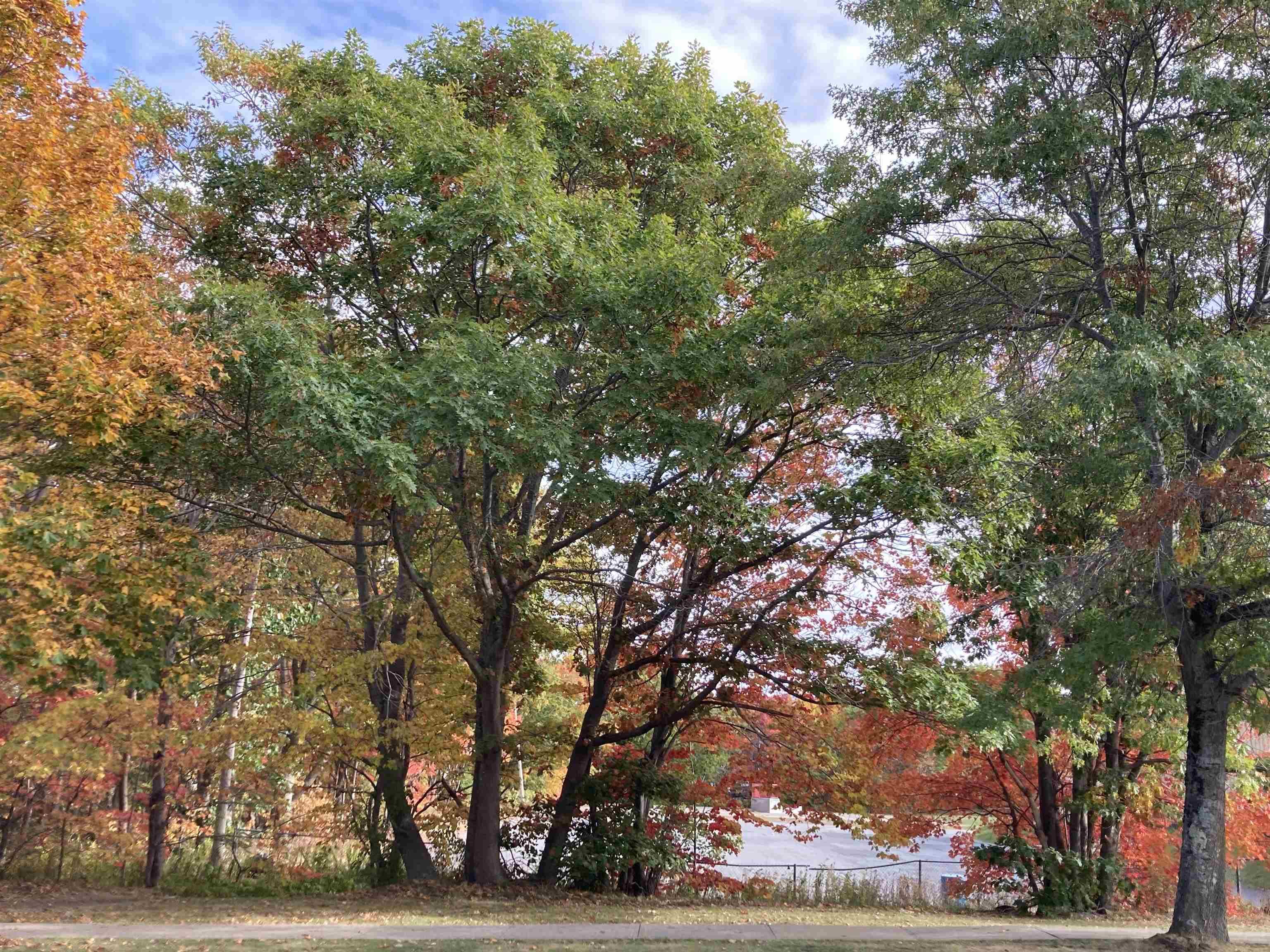 9 Monique Avenue, Dartmouth, NS (MLS 202521743)