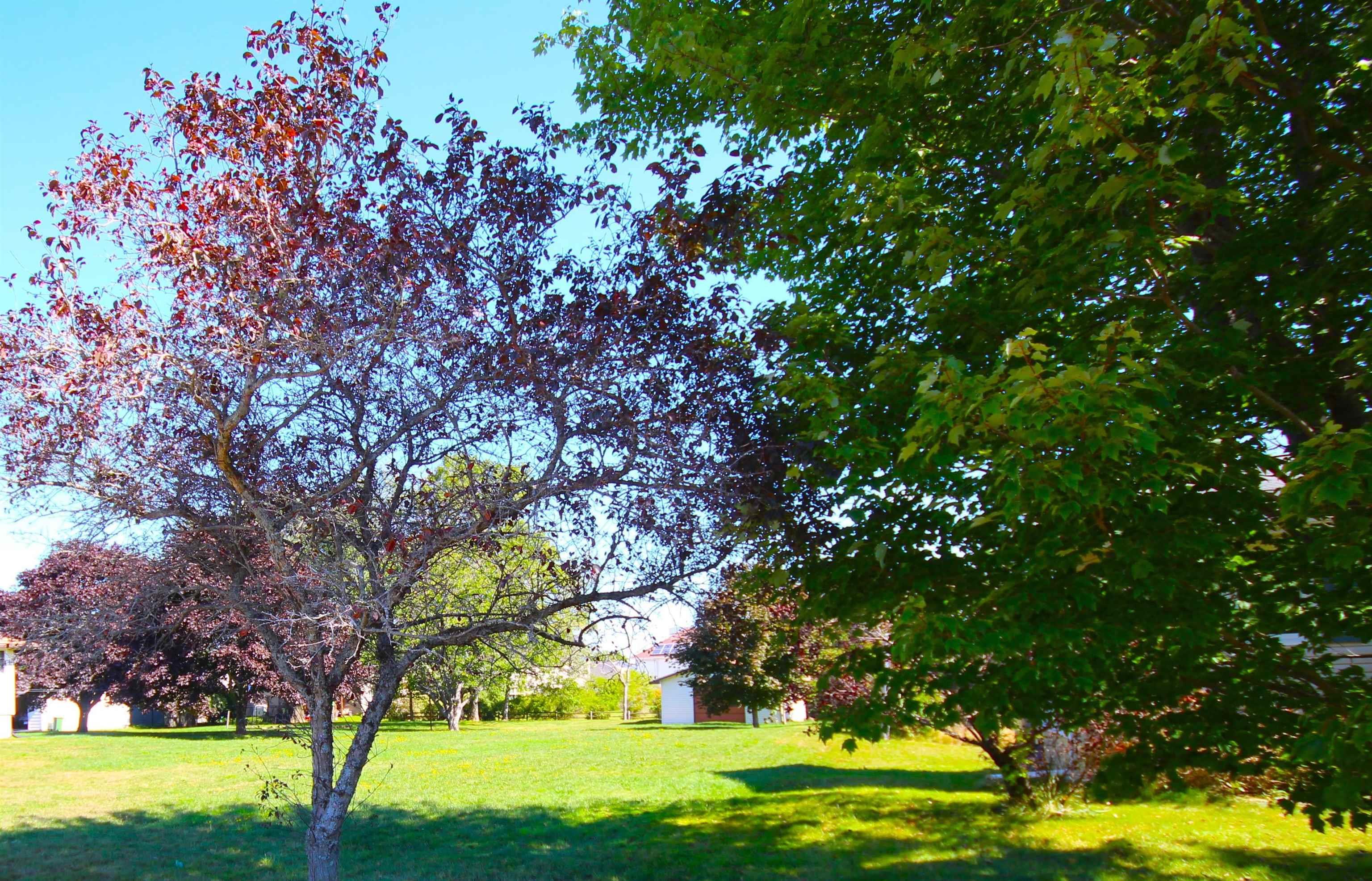 304 Astral Drive, Cole Harbour, NS (MLS 202522366)