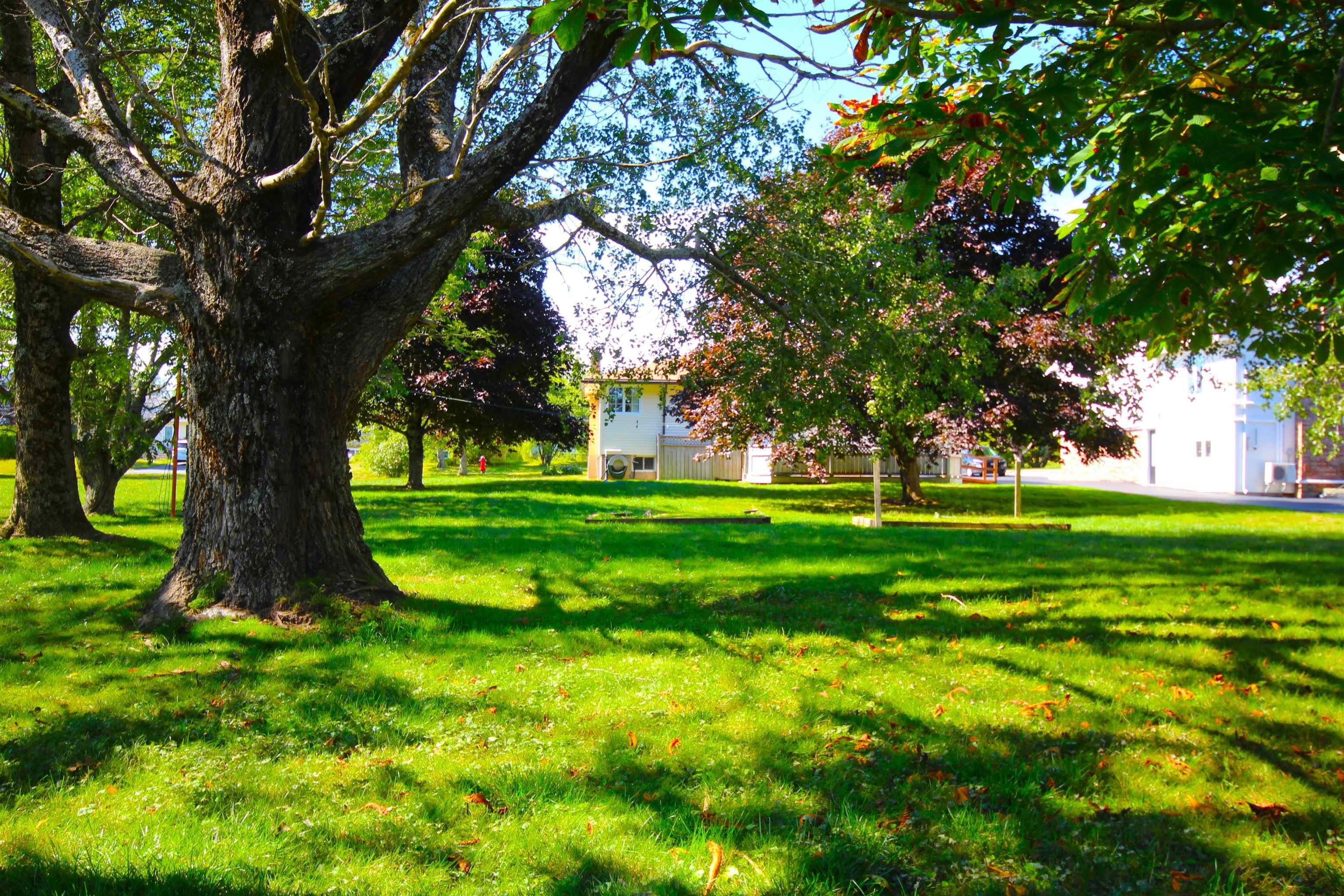 304 Astral Drive, Cole Harbour, NS (MLS 202522366)