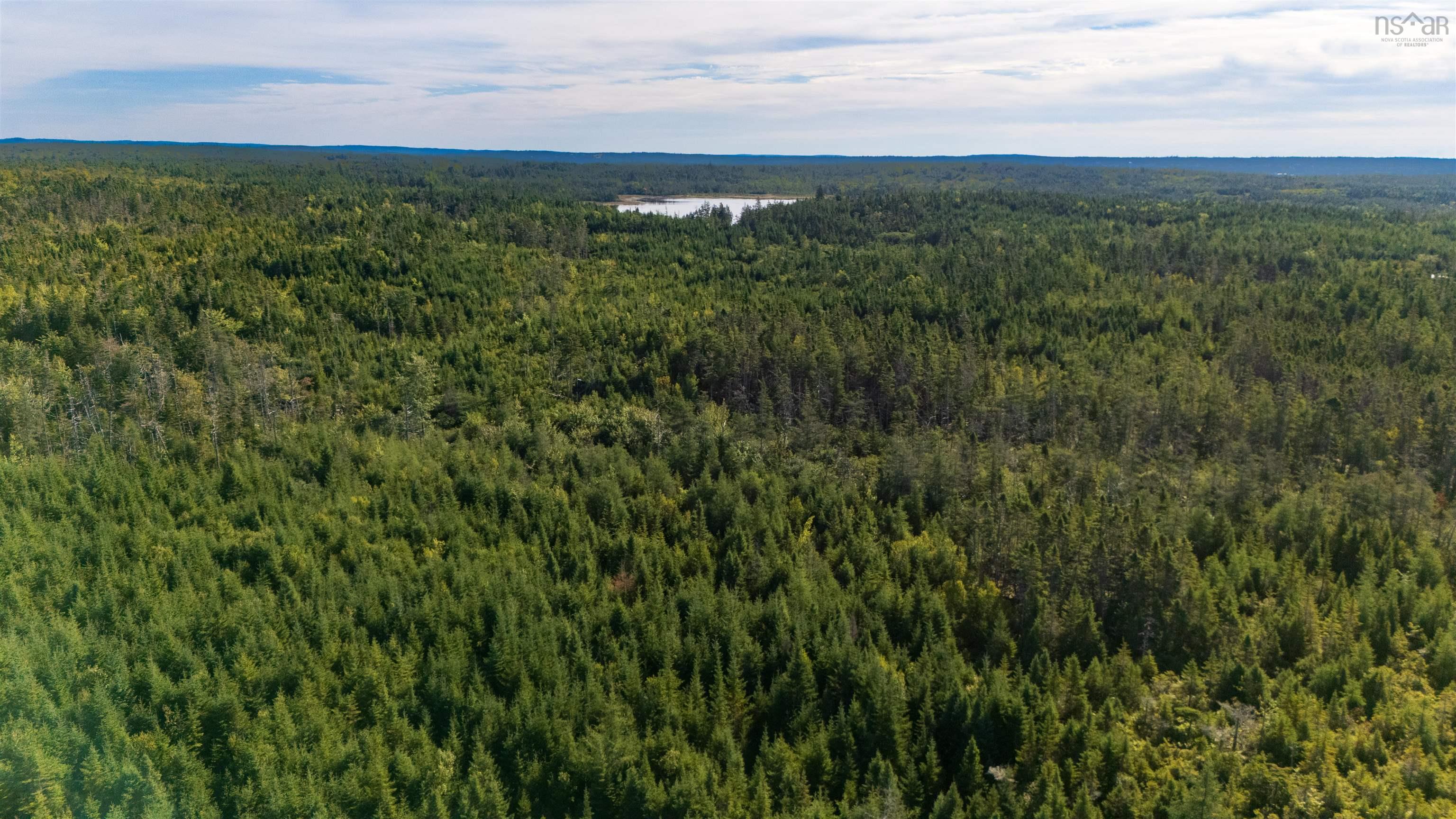 Lot Pettipas Lane, East Chezzetcook, NS (MLS 202522536)