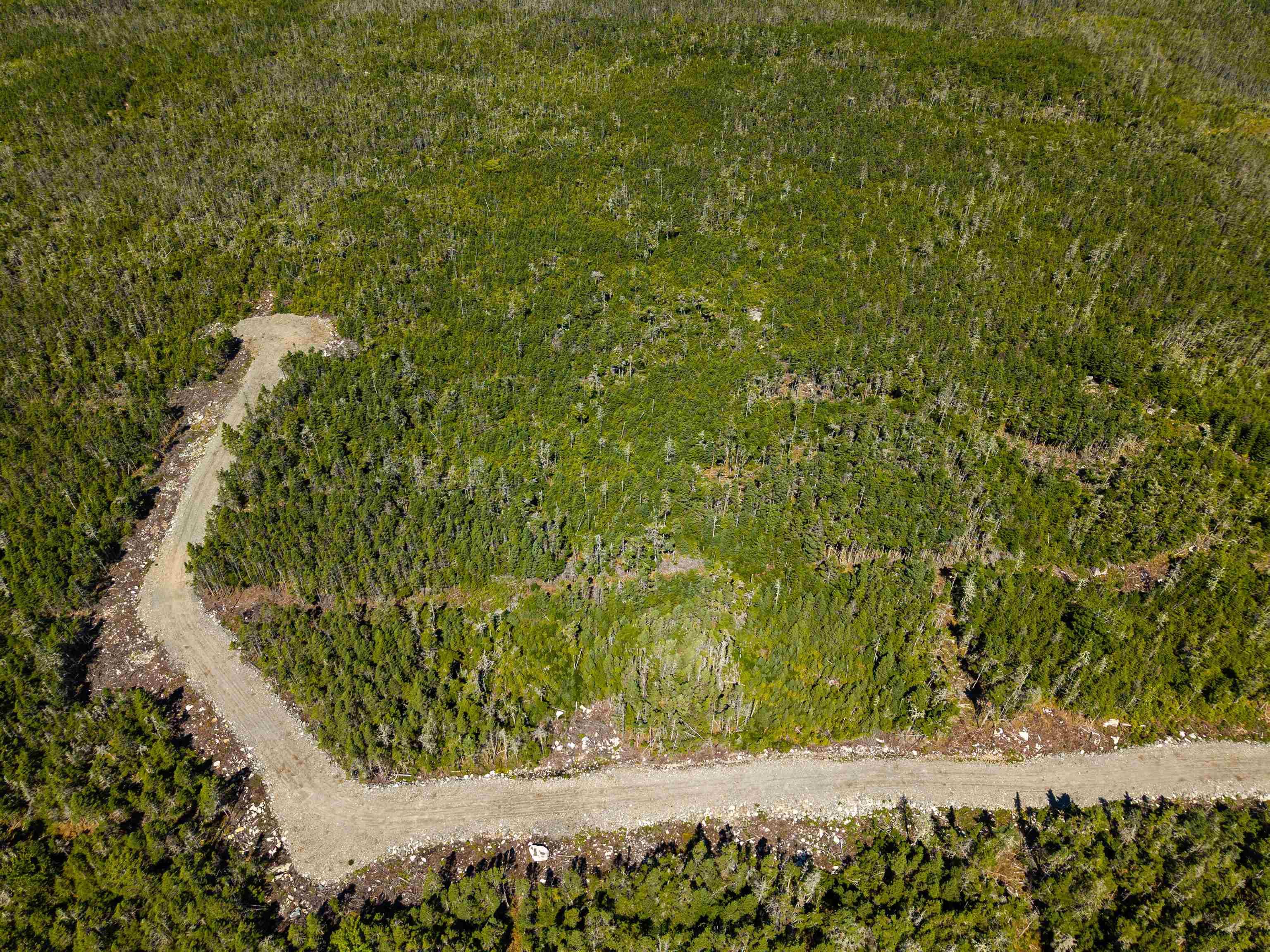 Lot 6-107 Ostrea Lake Road, Pleasant Point, NS (MLS® 202522543)