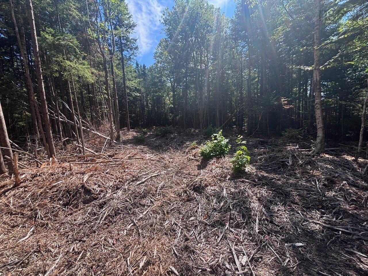 11a Nicholas Drive, Hammonds Plains, NS (MLS 202522556)