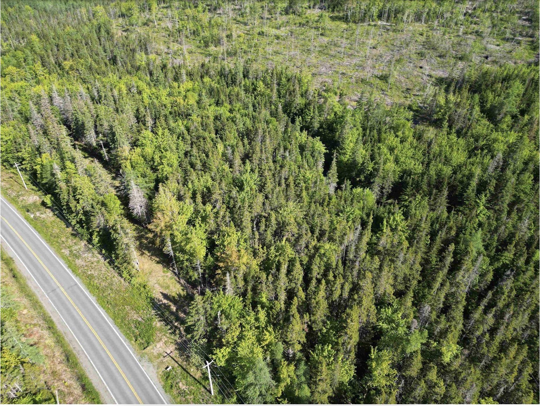 $40,000.00: Lot No. 4 Highway, River Bourgeois