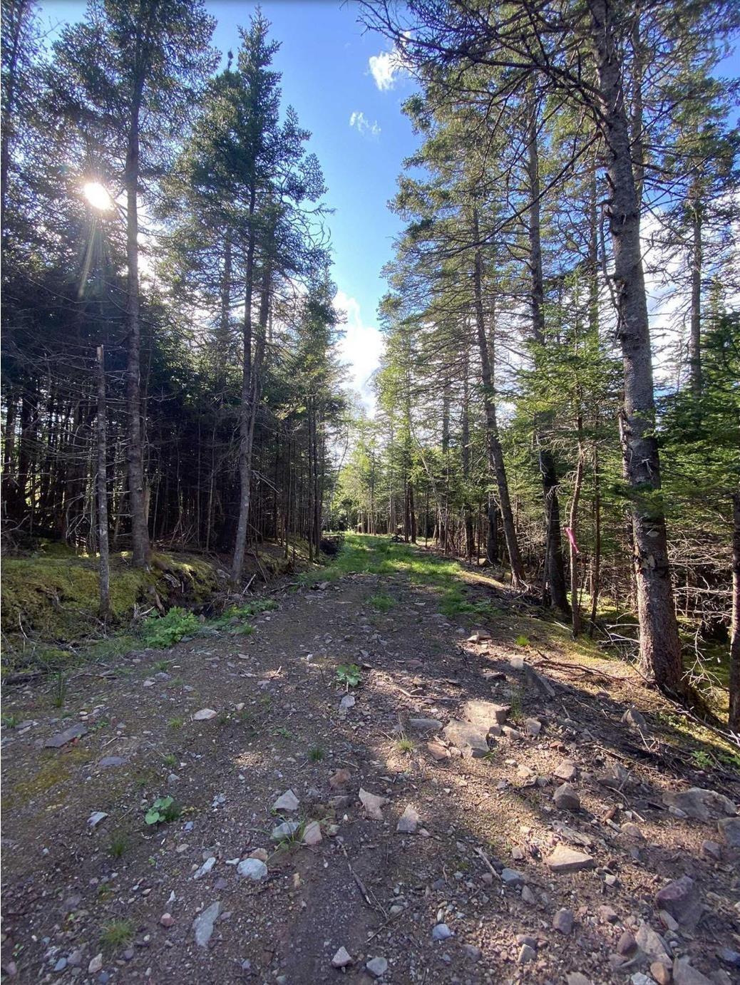 $40,000.00: Lot No. 4 Highway, River Bourgeois