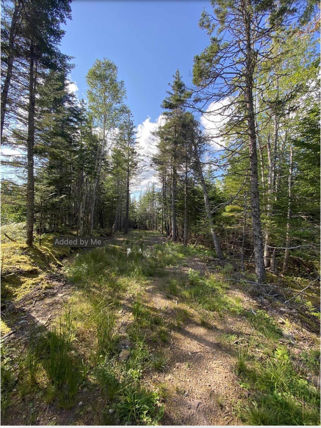$40,000.00: Lot No. 4 Highway, River Bourgeois
