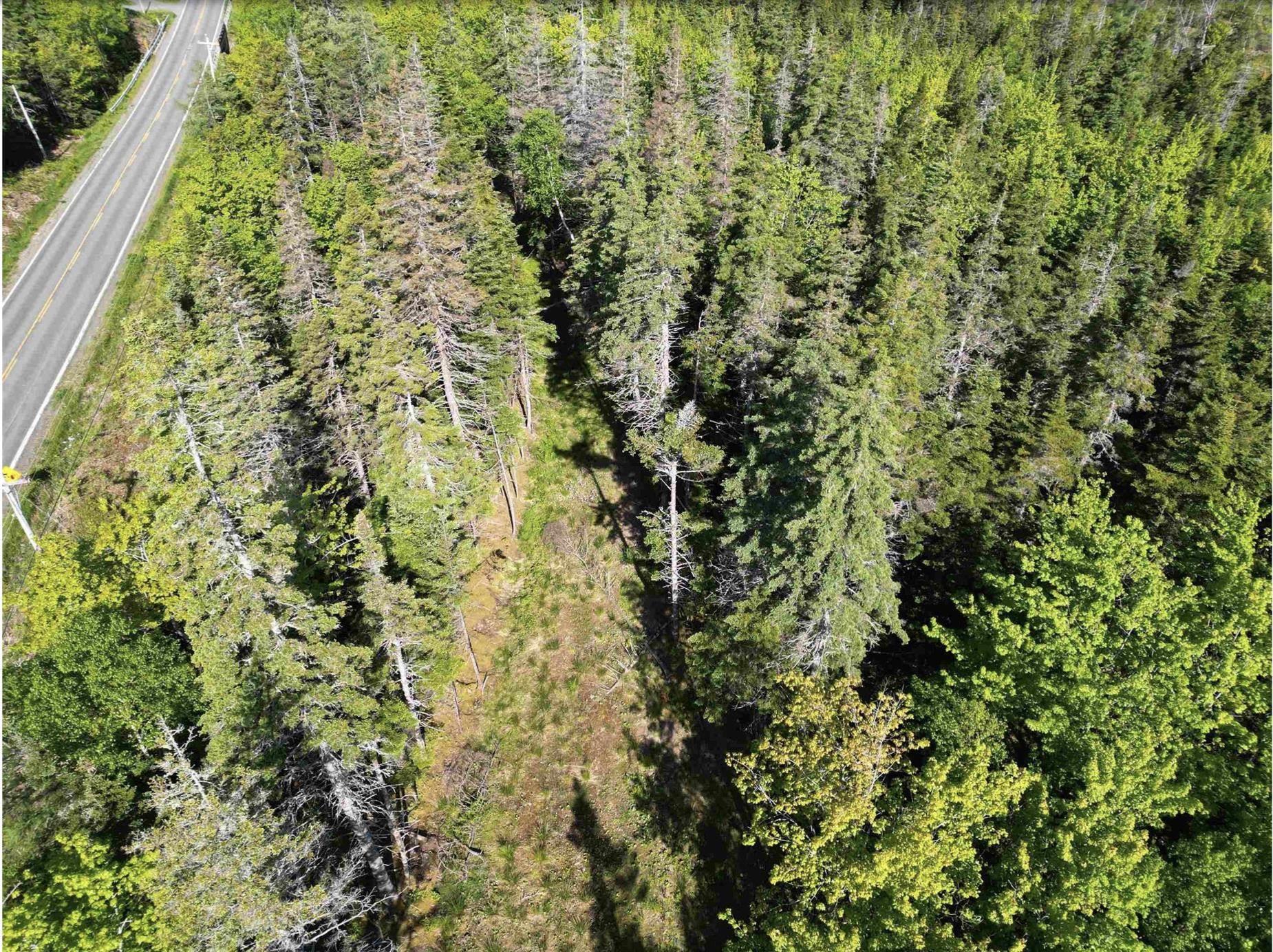 $40,000.00: Lot No. 4 Highway, River Bourgeois