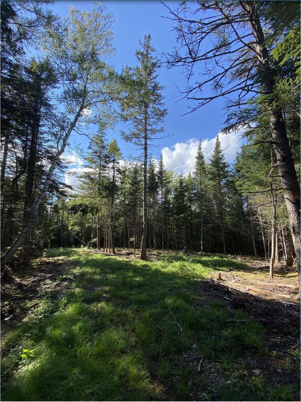 $40,000.00: Lot No. 4 Highway, River Bourgeois